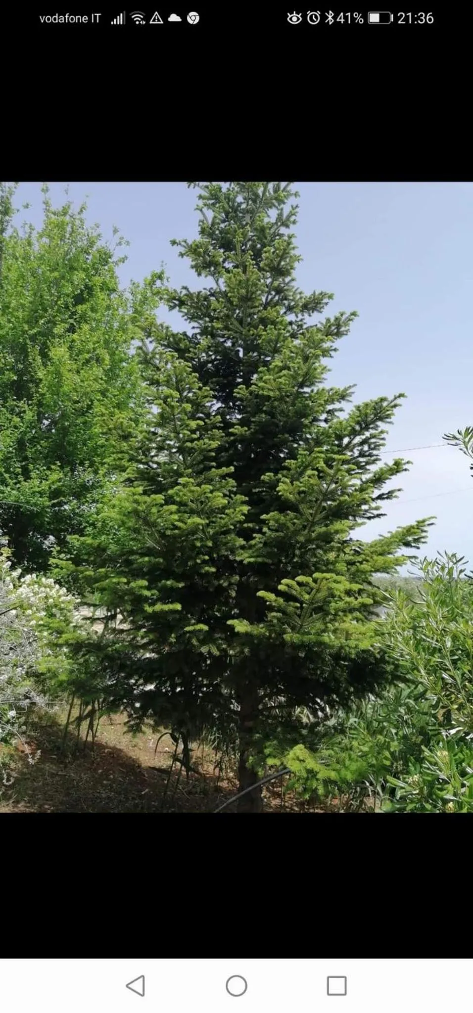 L'Isola Felice e Trulli Sotto Le Stelle