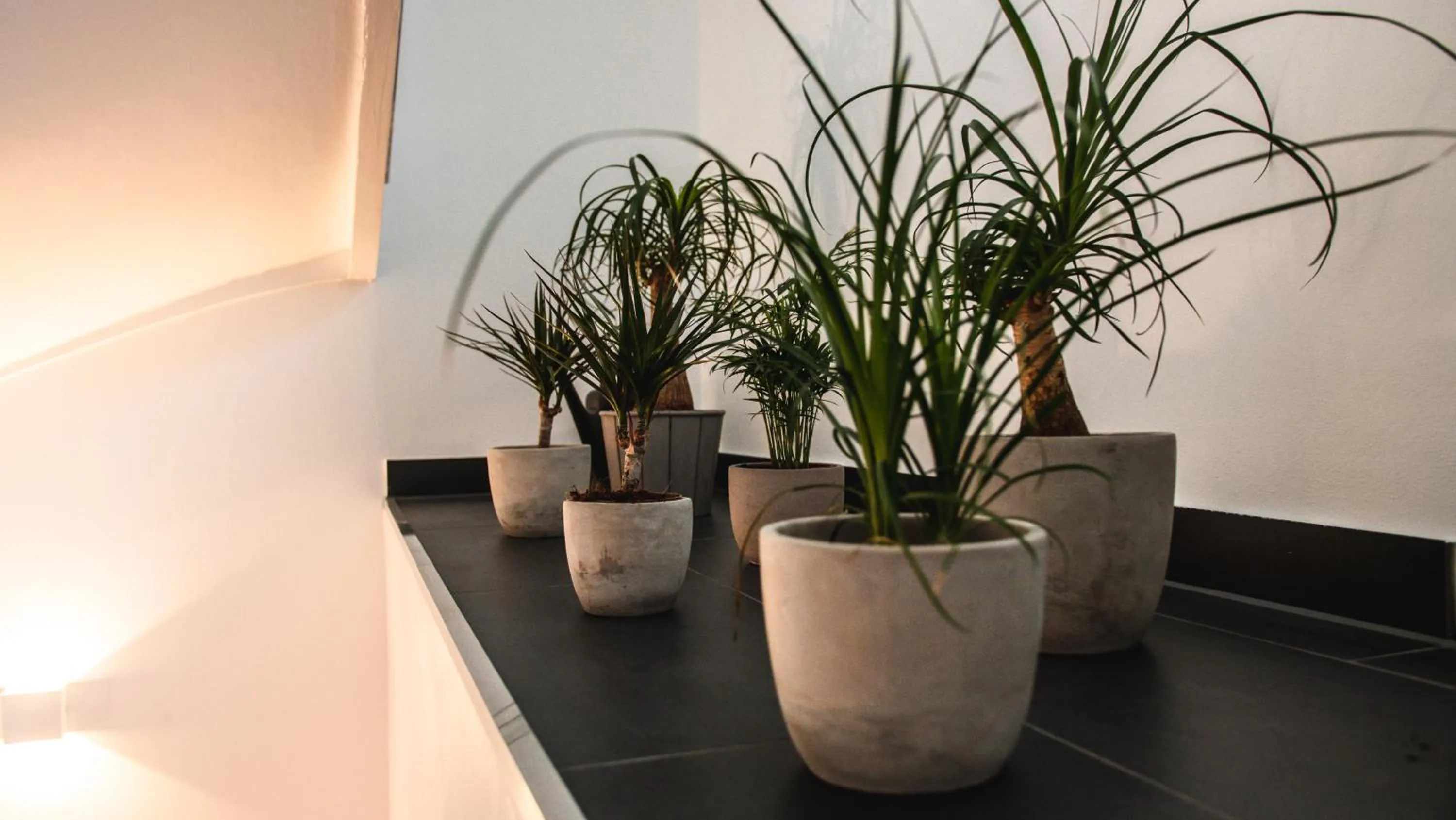 Decorative detail in Hotel Palmenbad