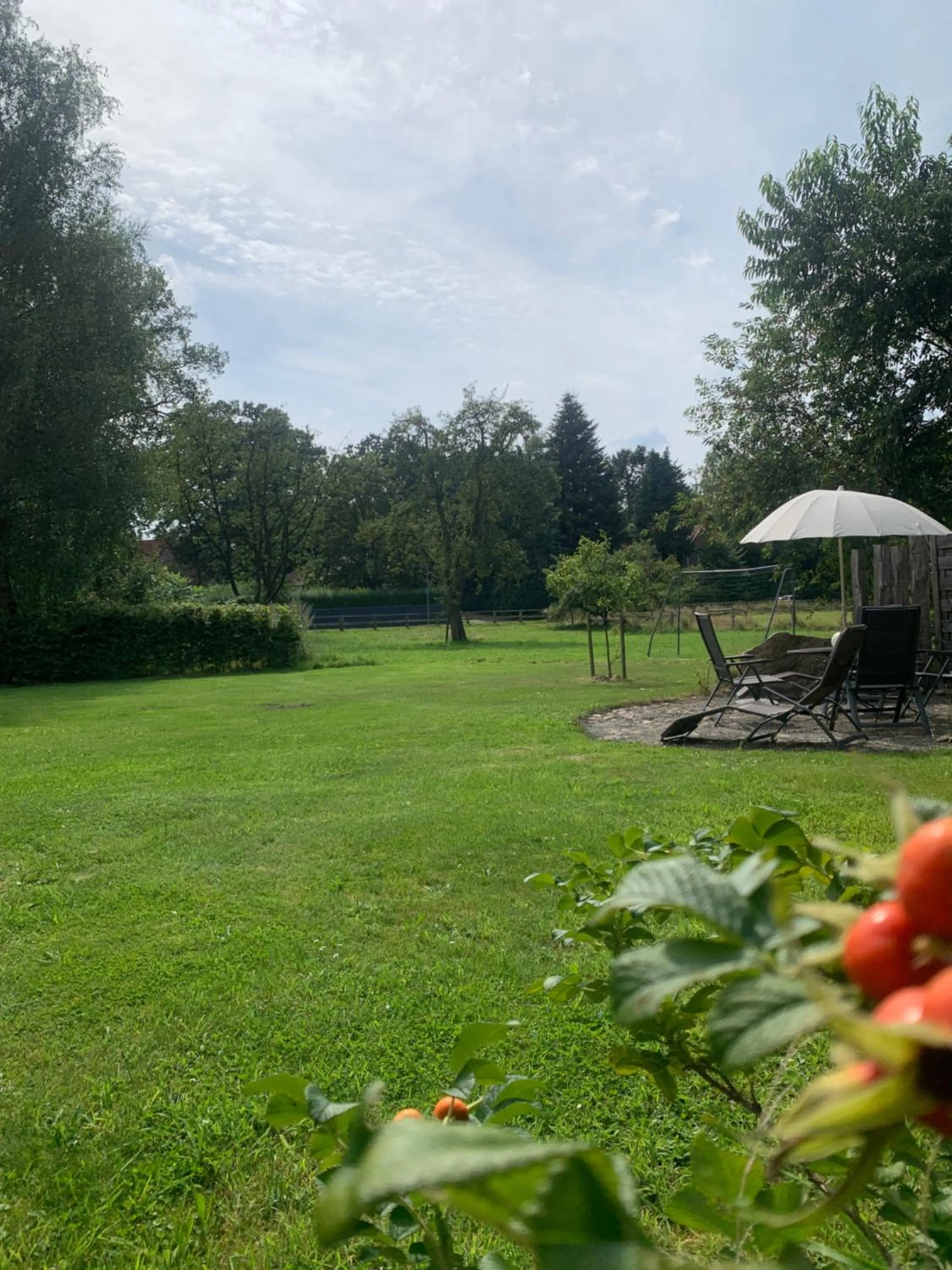 Garden in Hinners-Hoff Apartments