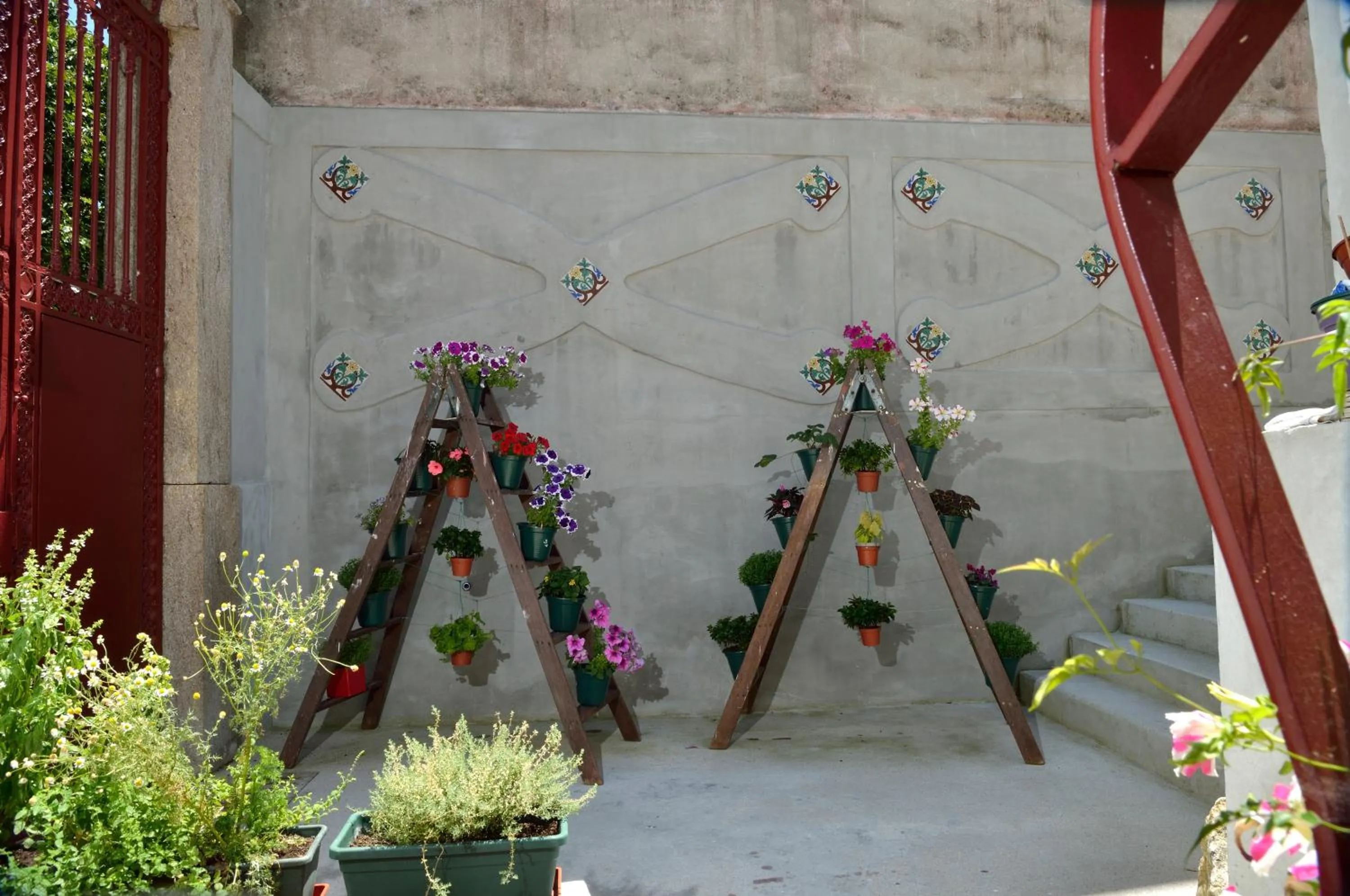 Garden in Dukes Corner Guest House