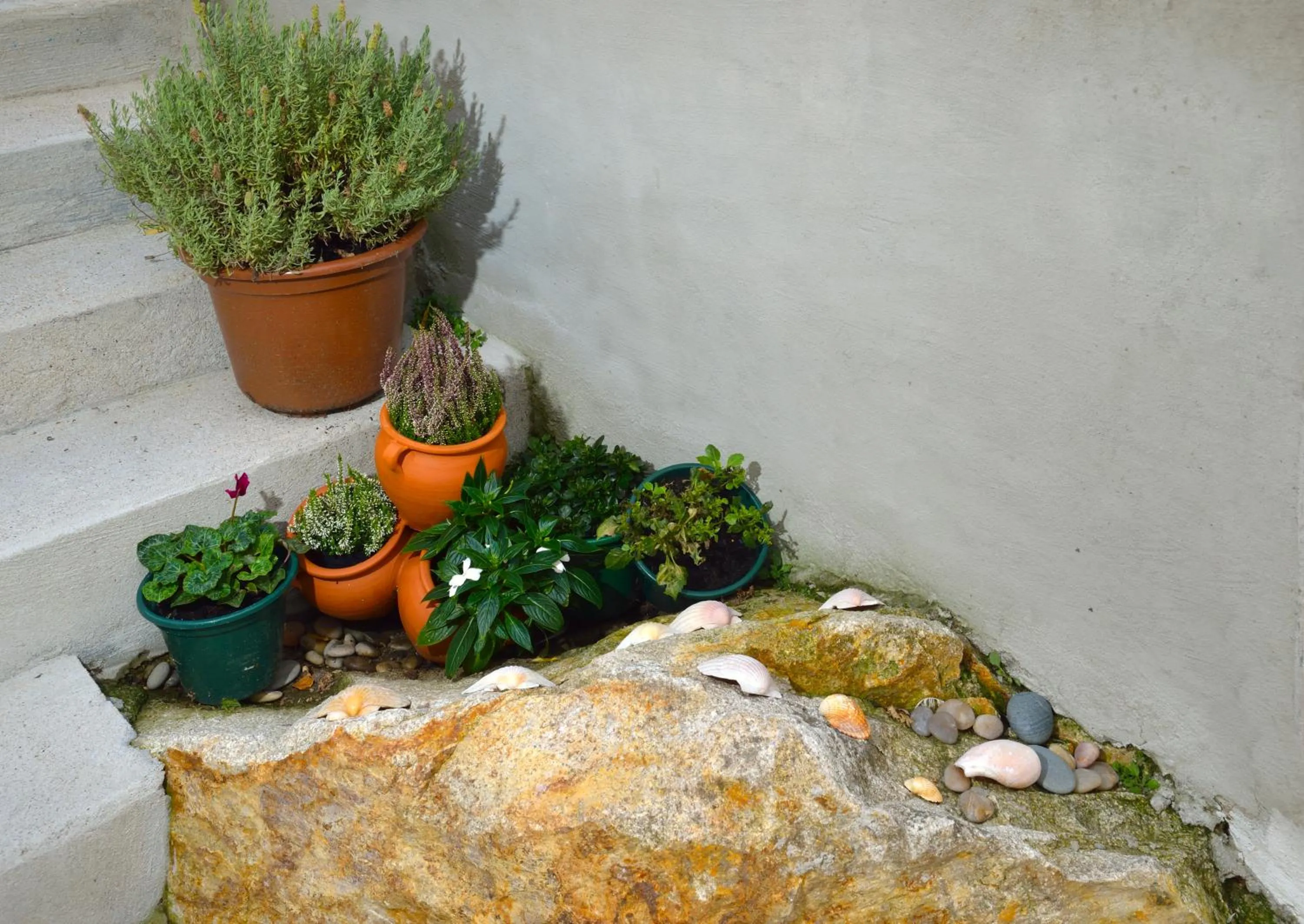 Garden in Dukes Corner Guest House