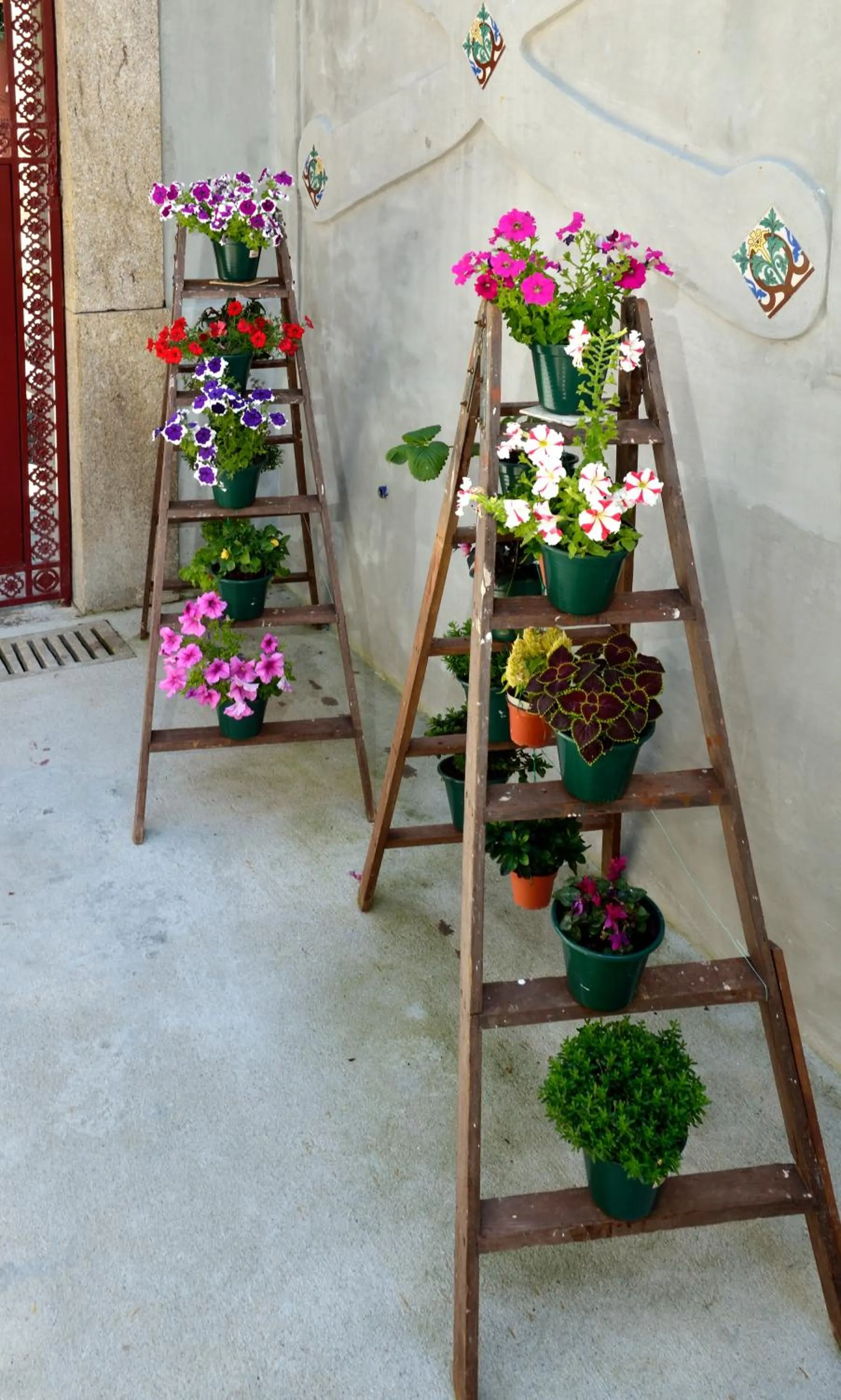 Garden in Dukes Corner Guest House