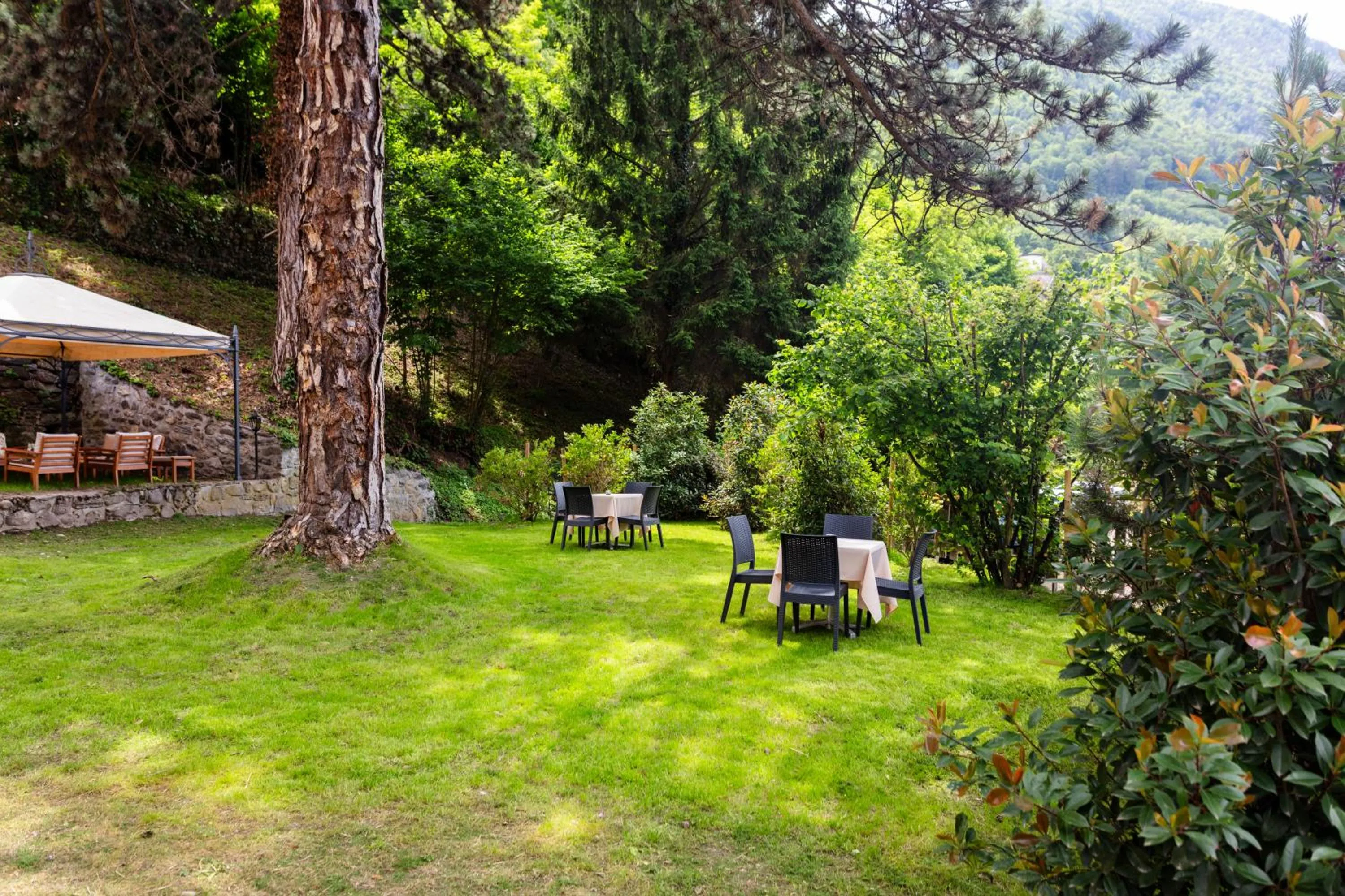 Garden in Hôtel Le Belvédère