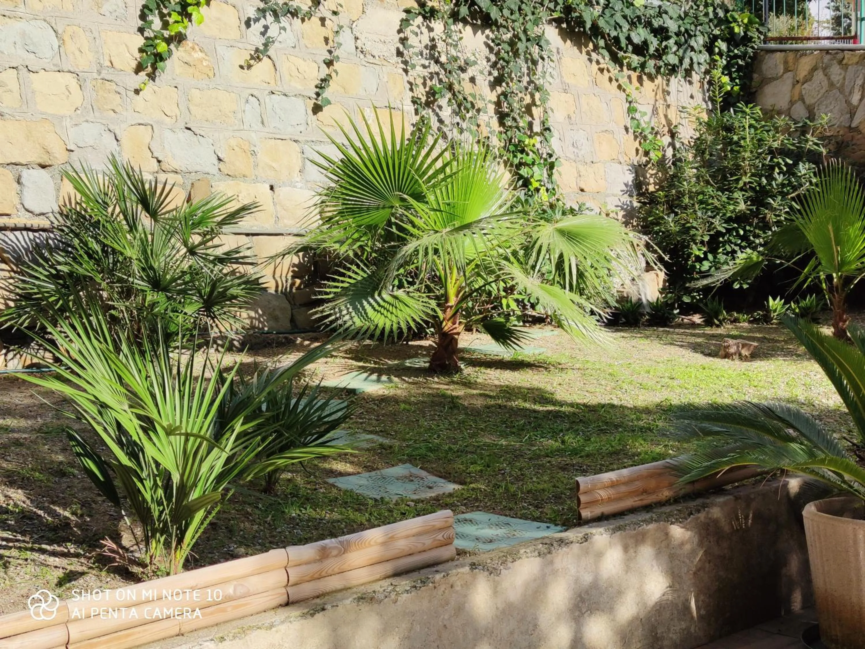 Garden in semeria103