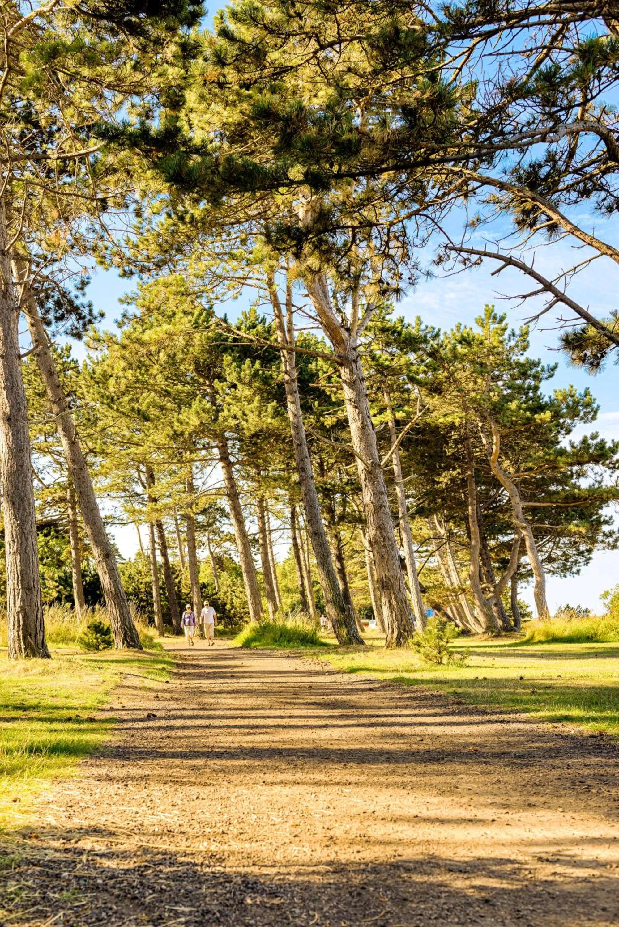 Hiking in Borstahusen Campingresort
