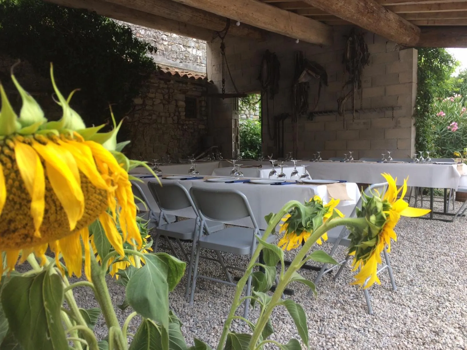 Restaurant/places to eat in Le Coing des Vignes