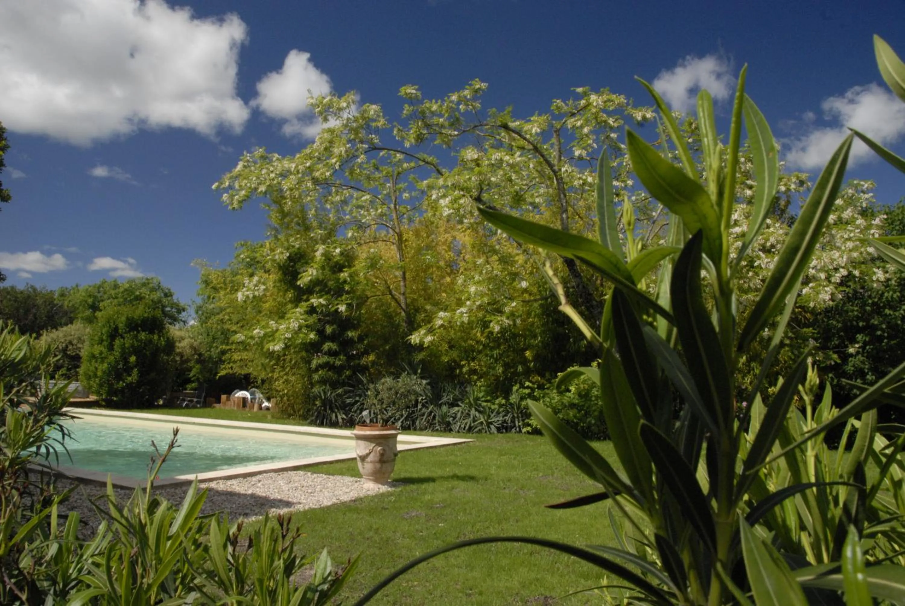 Pool view in Le Coing des Vignes