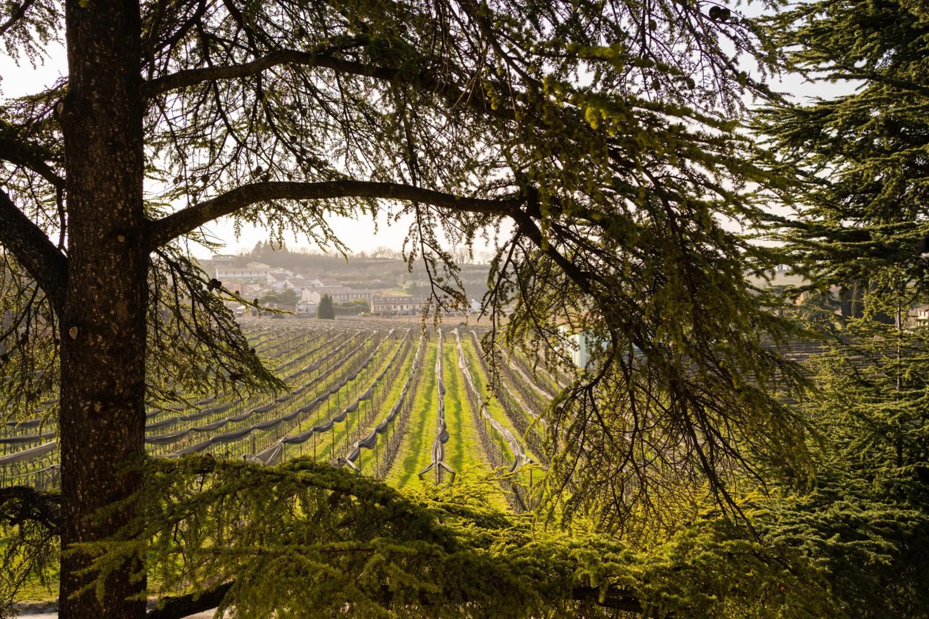 Natural landscape in Relais des Roches