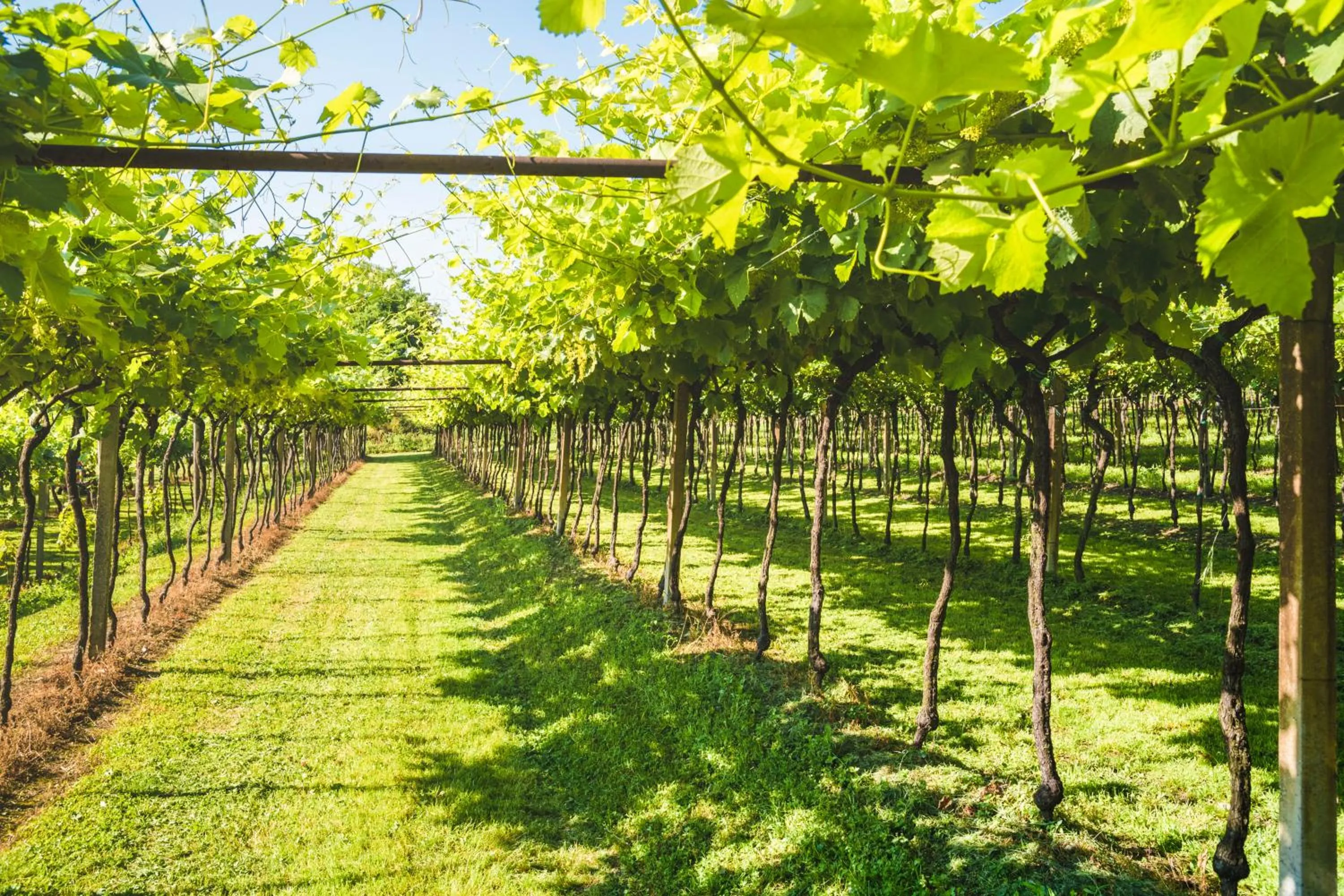 Garden view in Relais des Roches