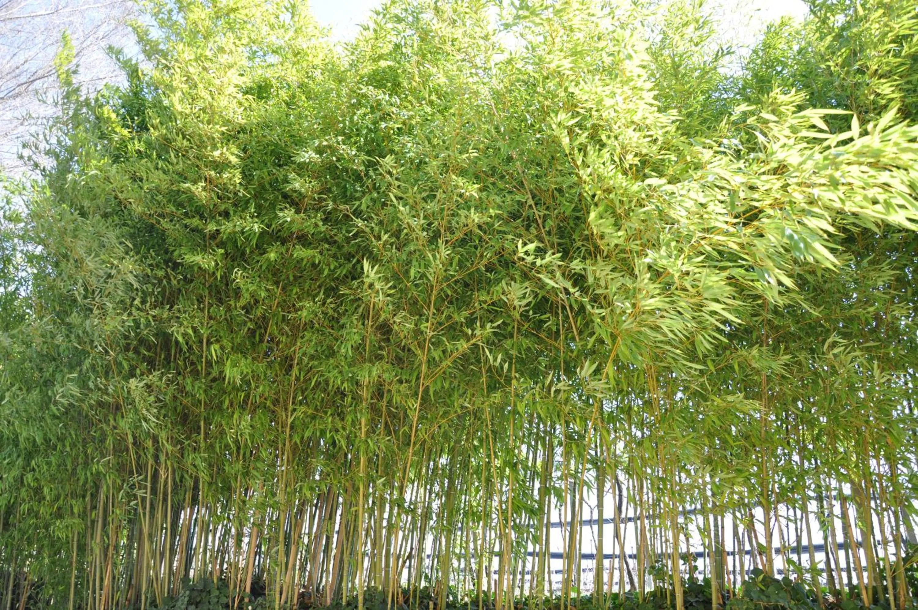 Natural landscape in Relais des Roches