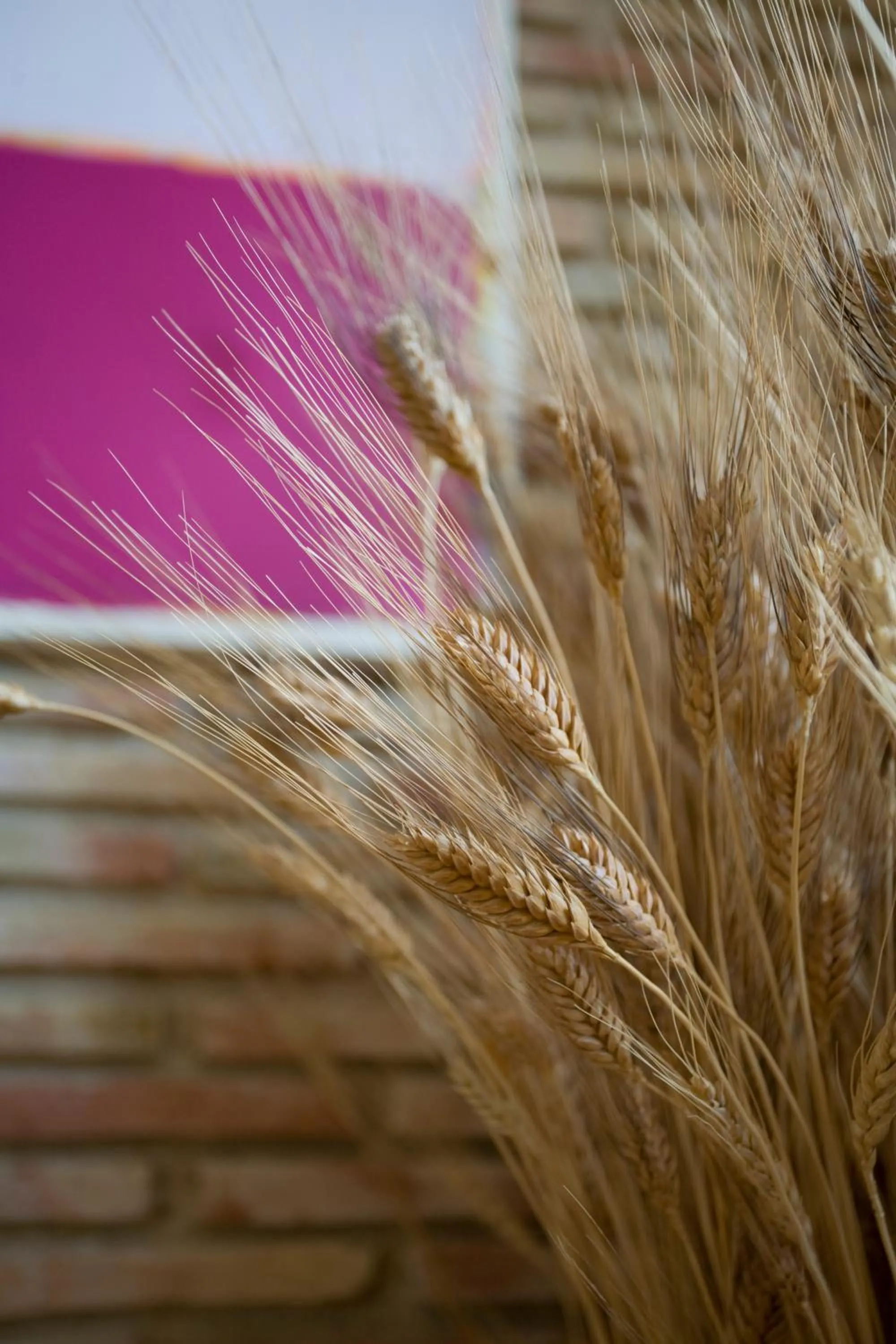 Seating area in Bajo El Cejo