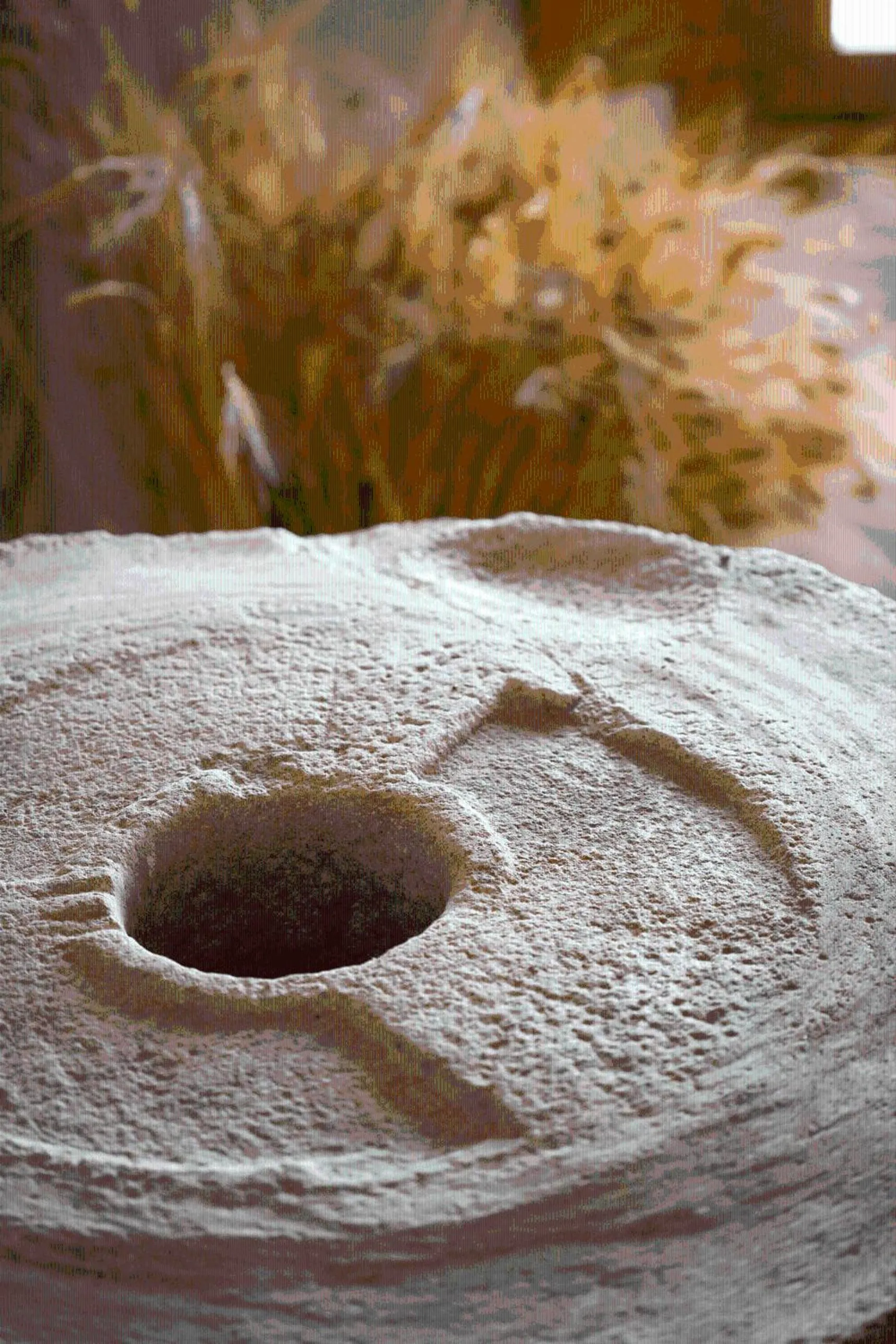 Other in Bajo El Cejo