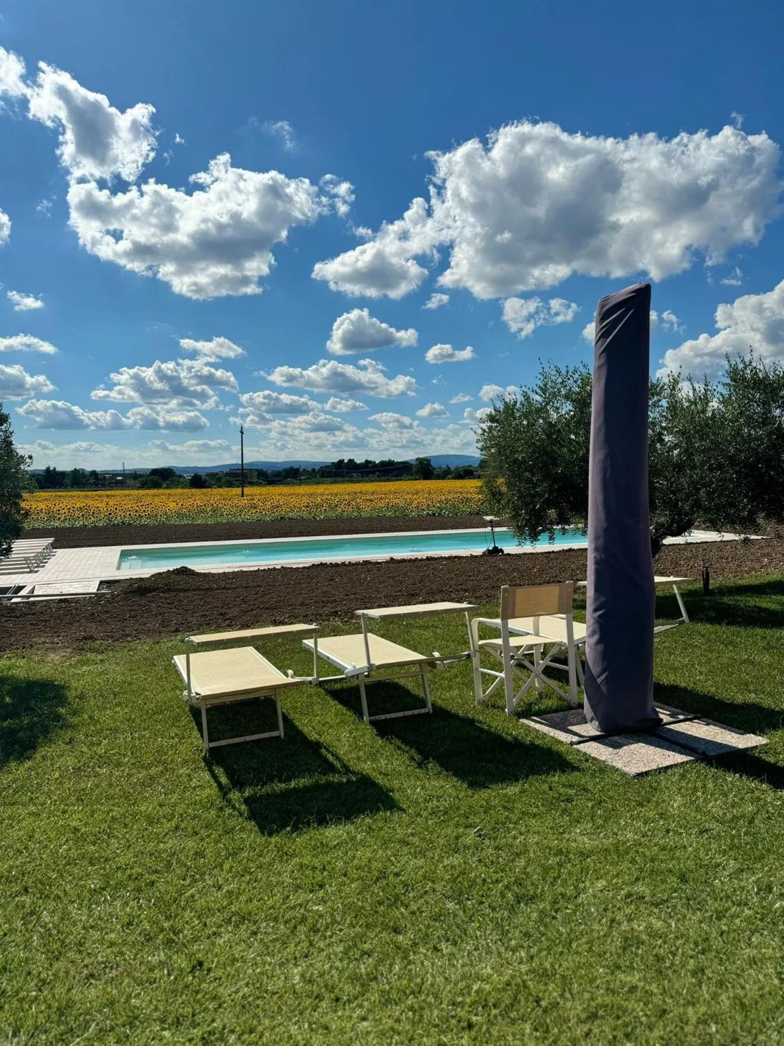 Swimming pool in Assisium Agriturismo