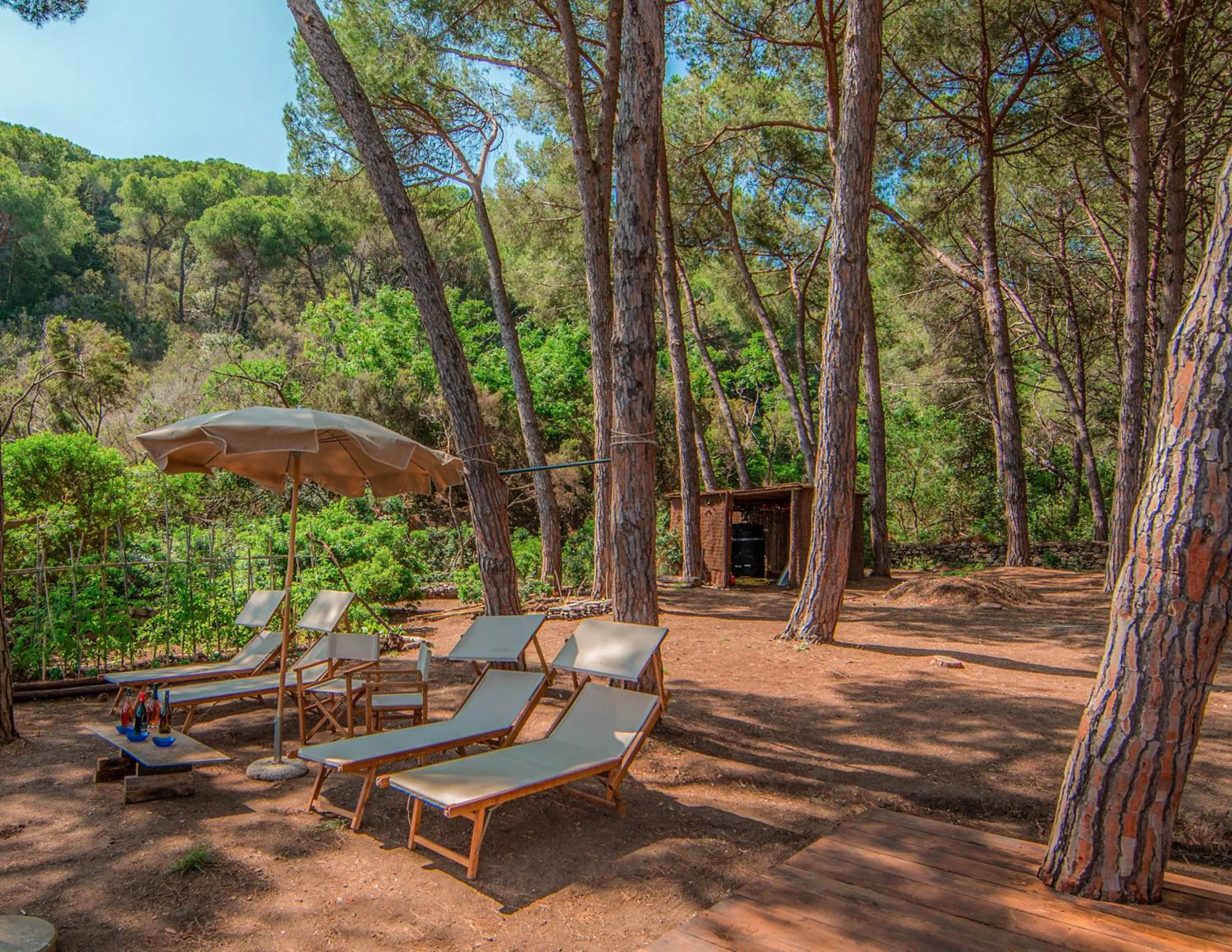 Tenuta Delle Ripalte