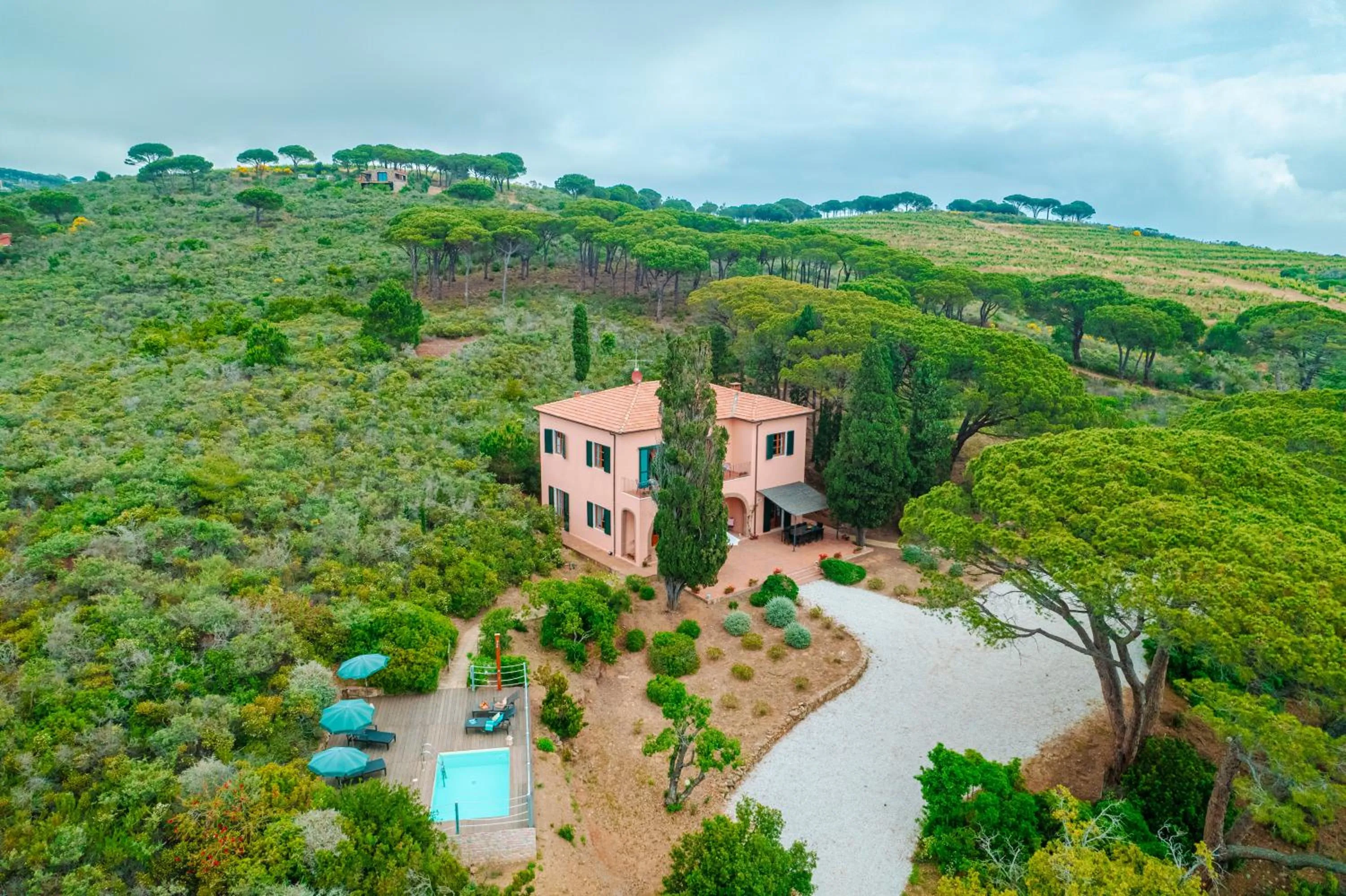 Tenuta Delle Ripalte