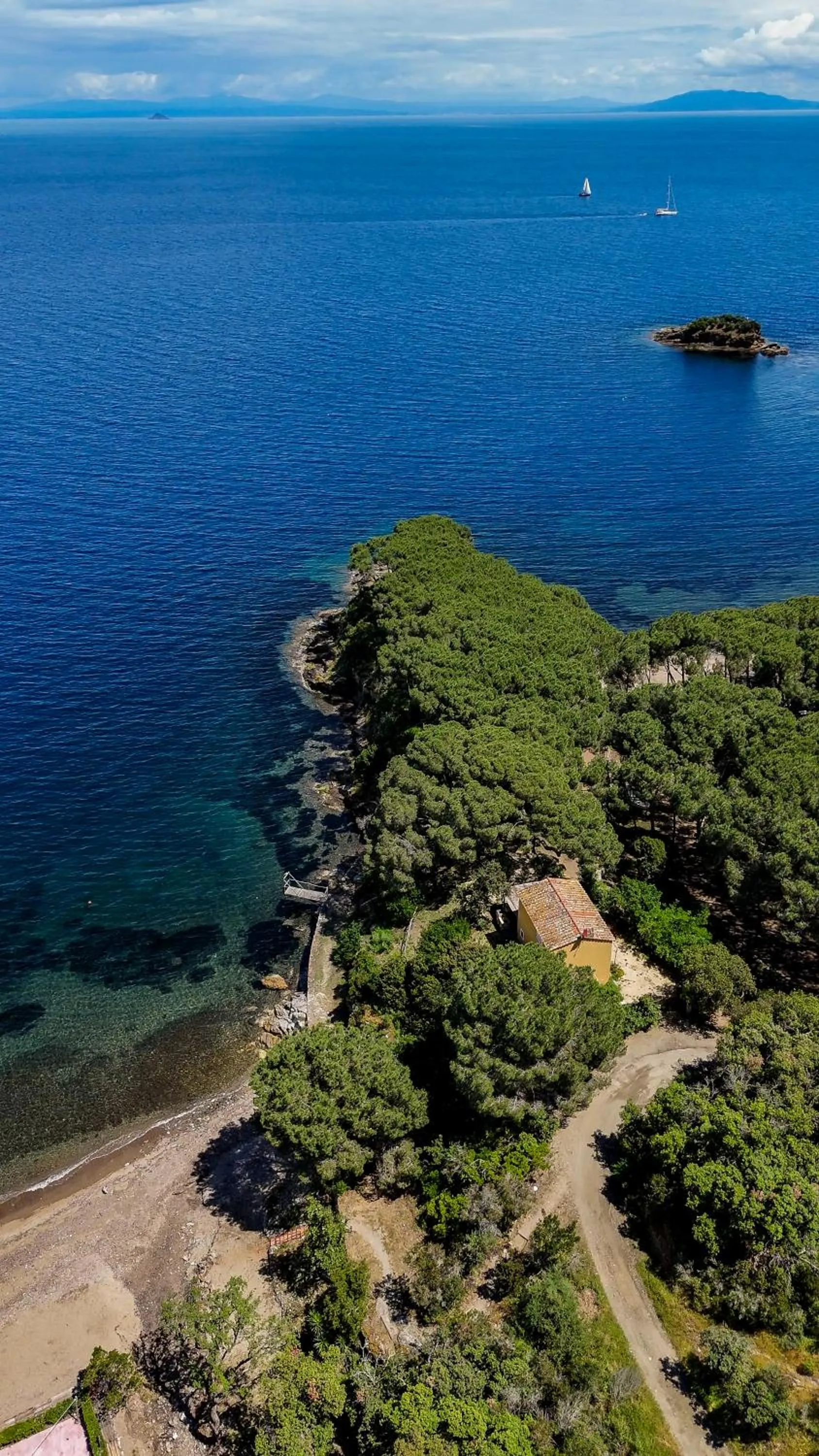 Tenuta Delle Ripalte