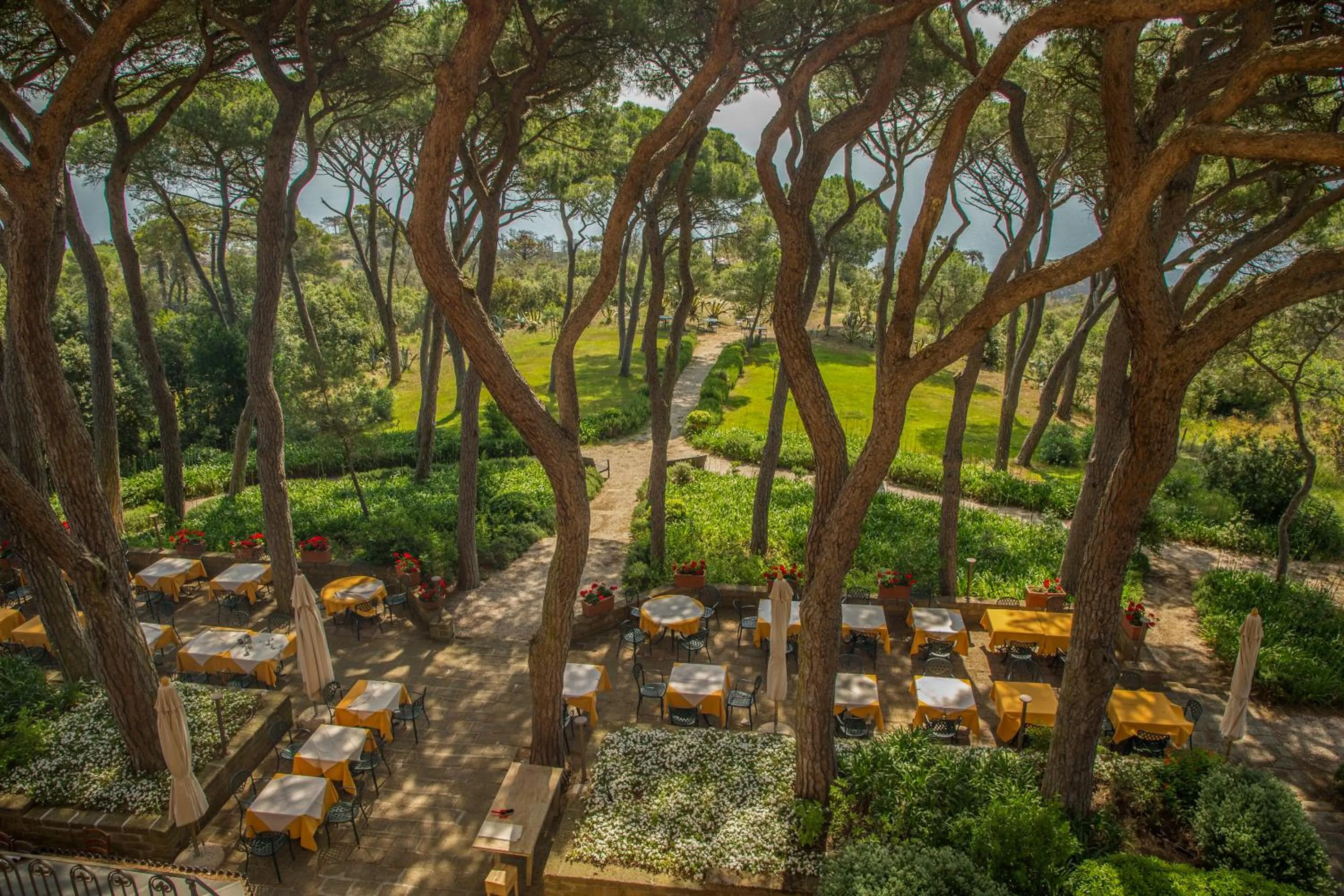 Tenuta Delle Ripalte