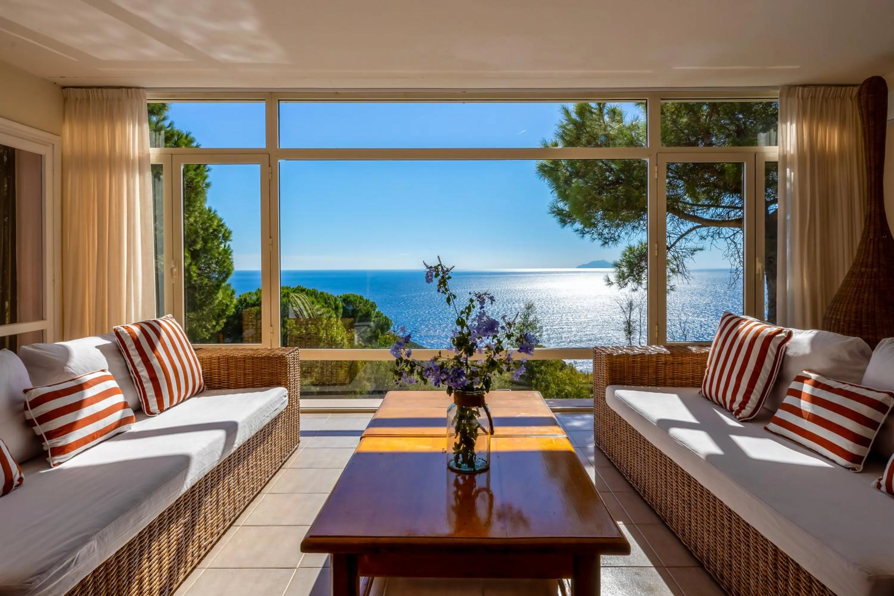 Tenuta Delle Ripalte