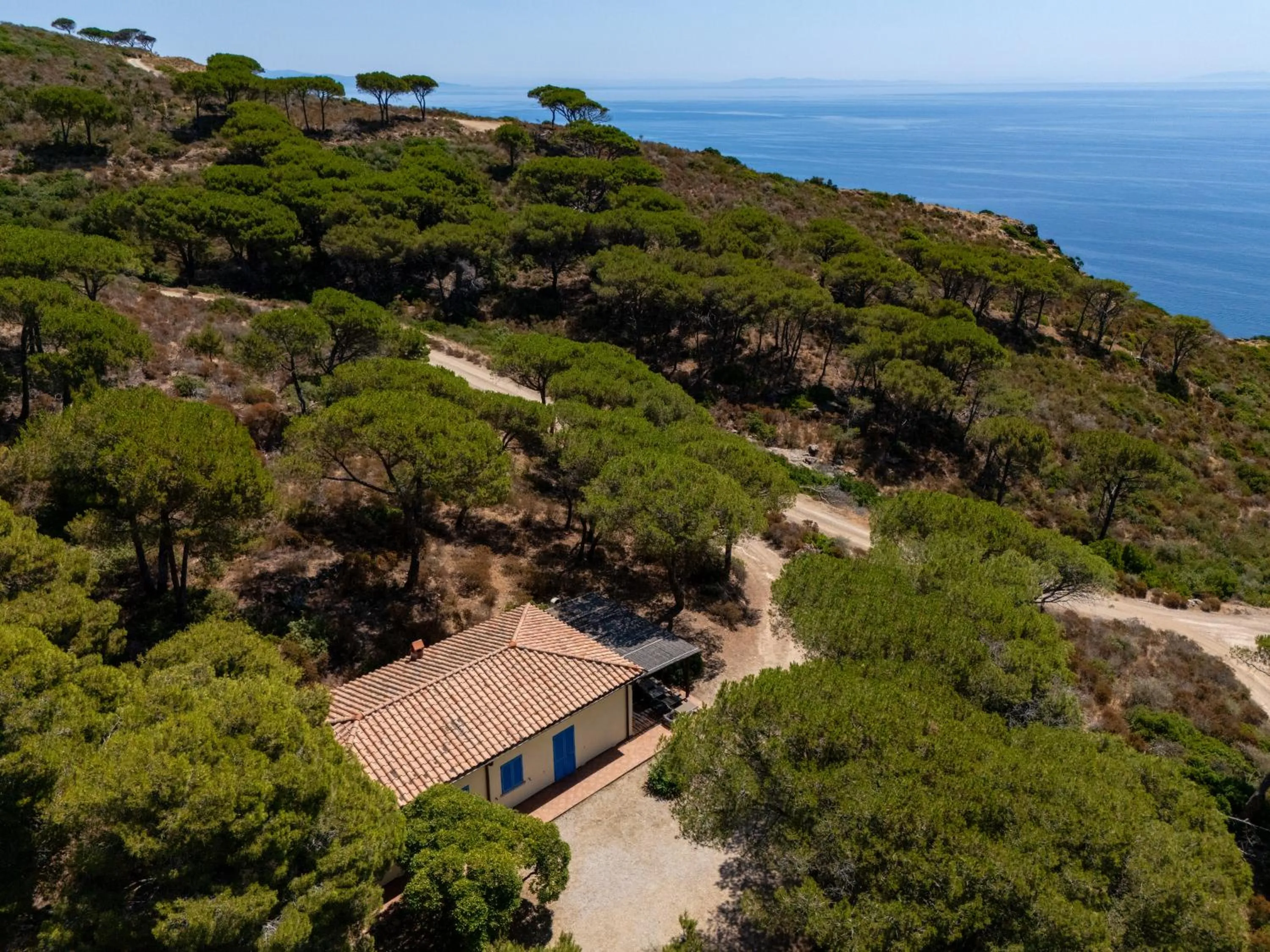 Tenuta Delle Ripalte