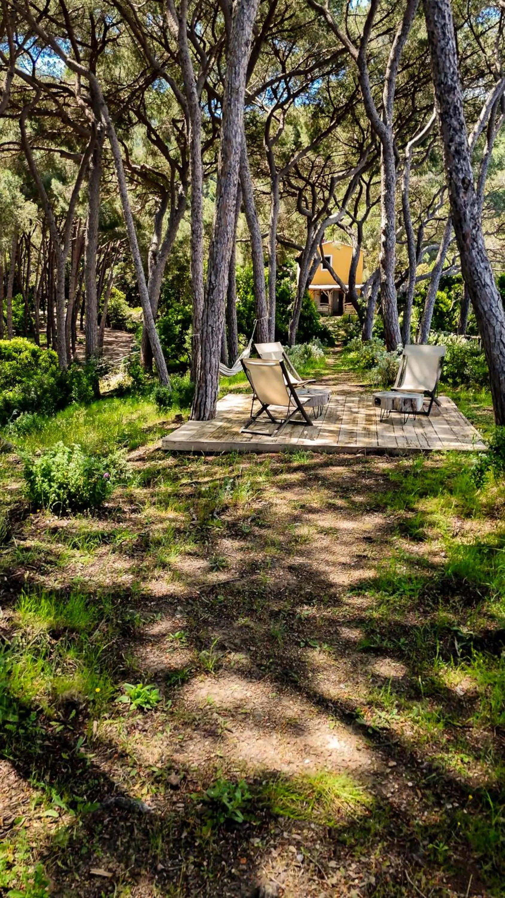 Tenuta Delle Ripalte