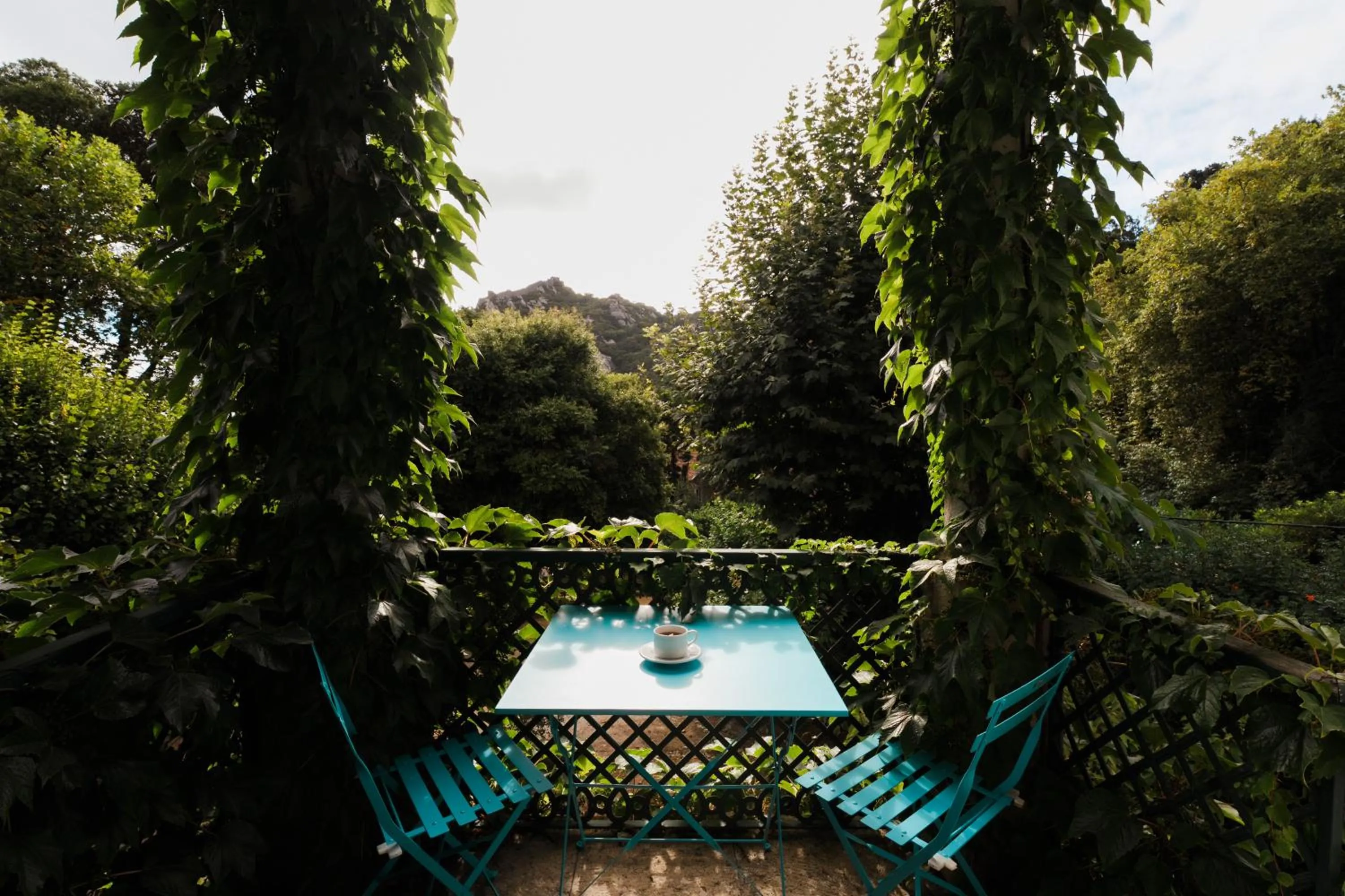 Garden in Eighteen21 Houses - Quinta Velha