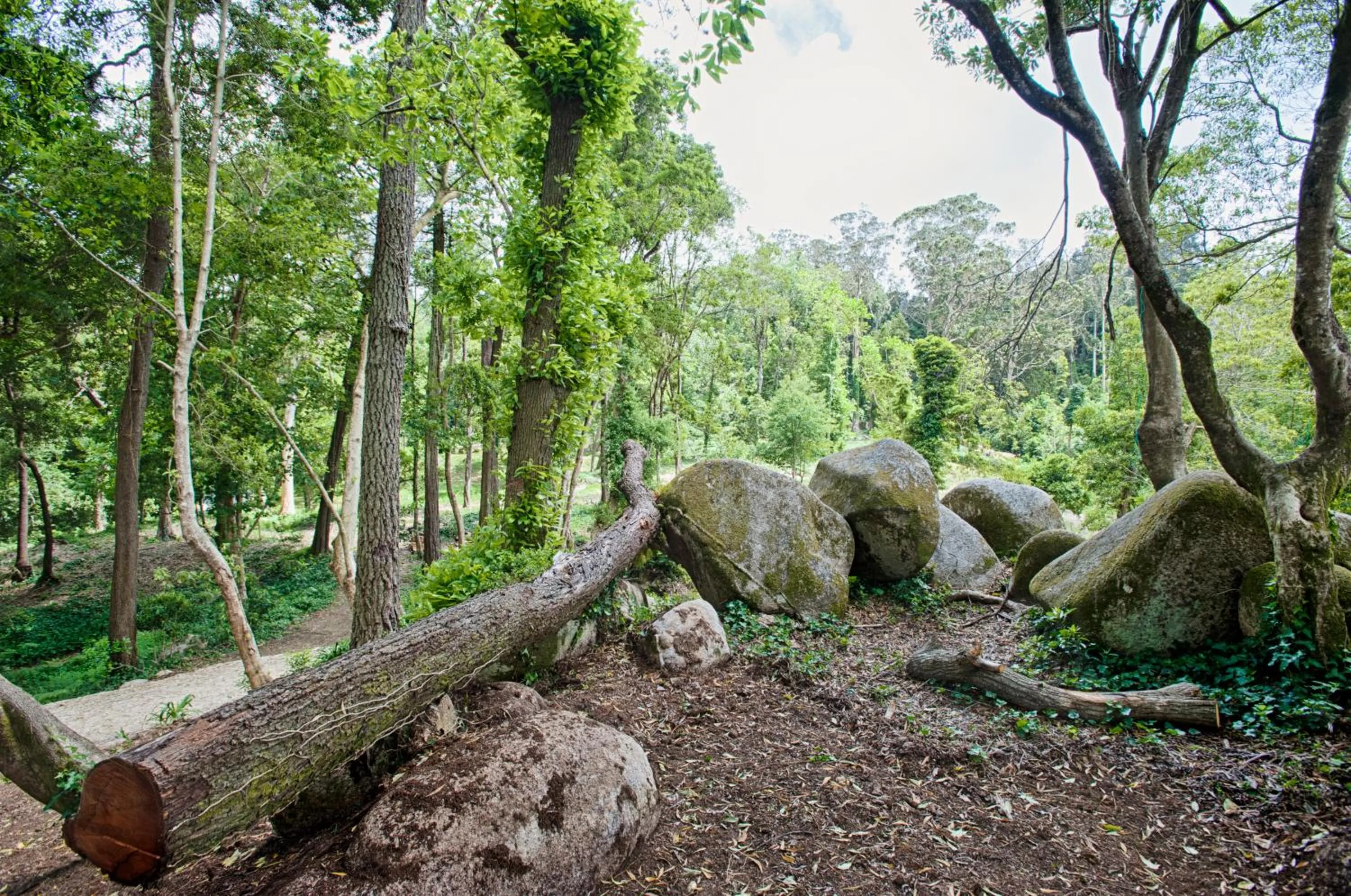 Garden in Eighteen21 Houses - Quinta Velha