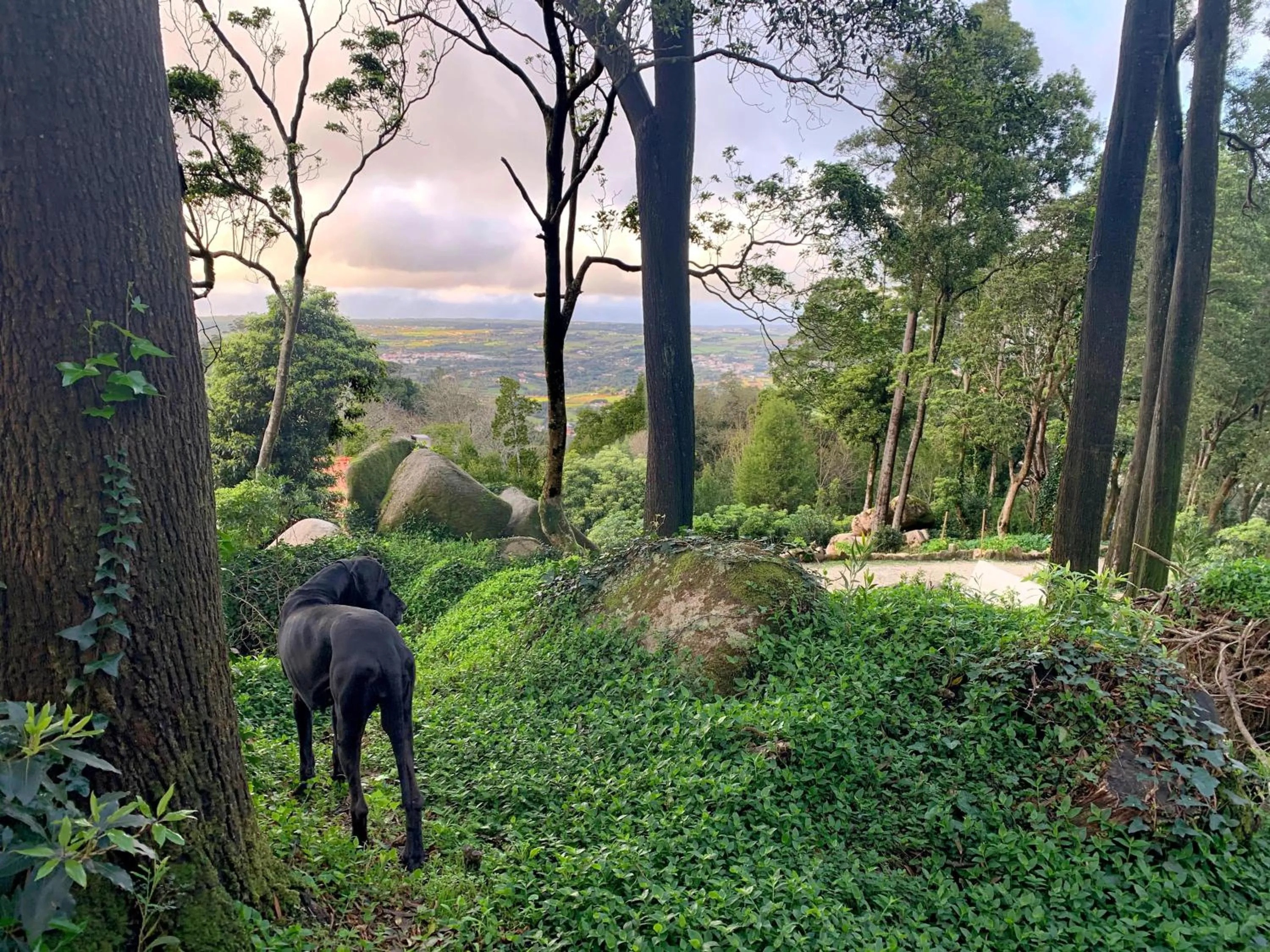 Garden in Eighteen21 Houses - Quinta Velha