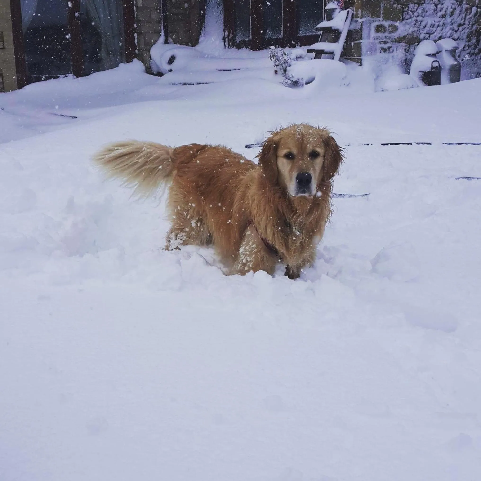 Winter in The Old Stables Bed & Breakfast