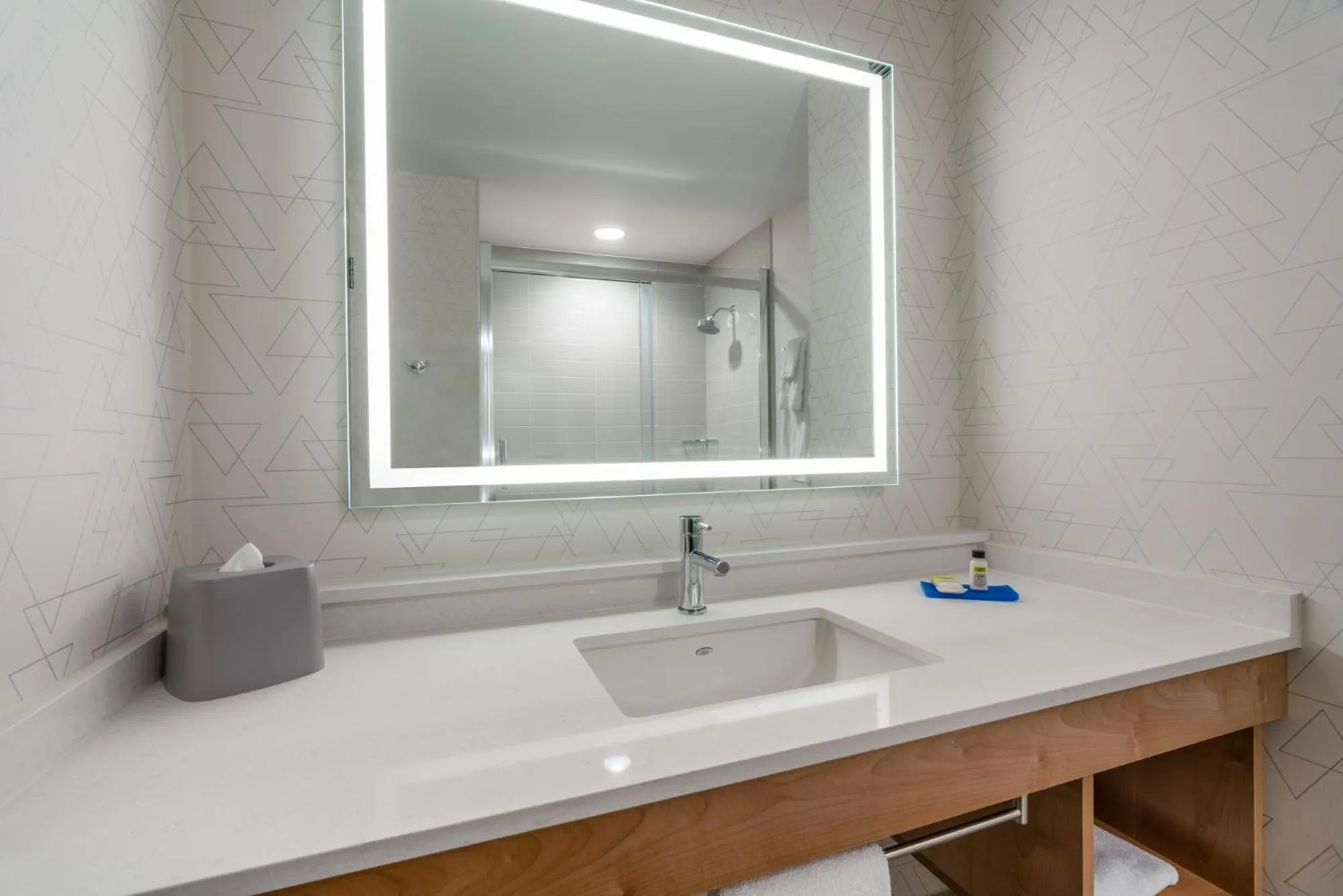 Shower in Holiday Inn Express & Suites Vaughan-Southwest by IHG