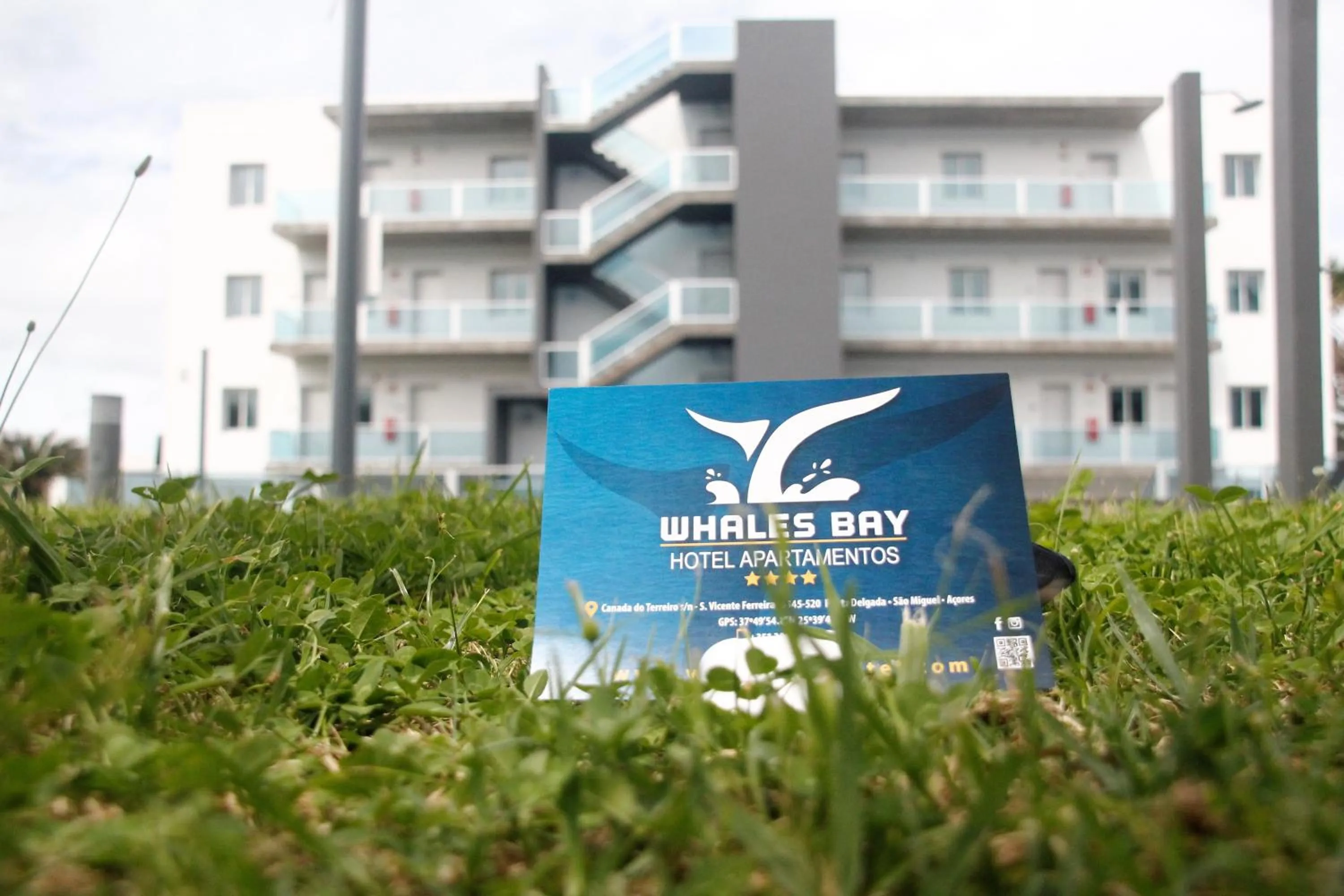 Swimming pool in Whalesbay Hotel Apartamentos