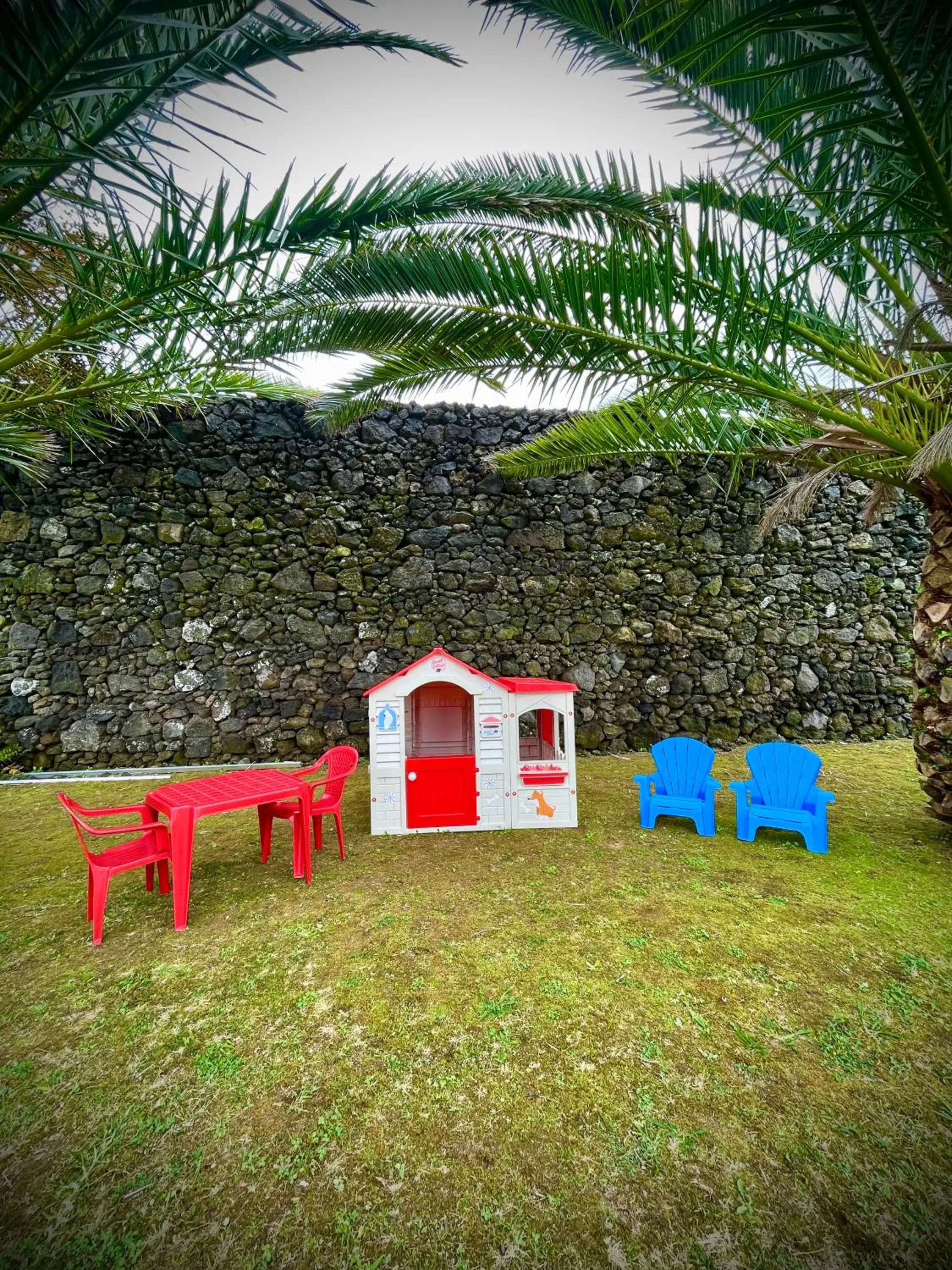 Garden in Whalesbay Hotel Apartamentos