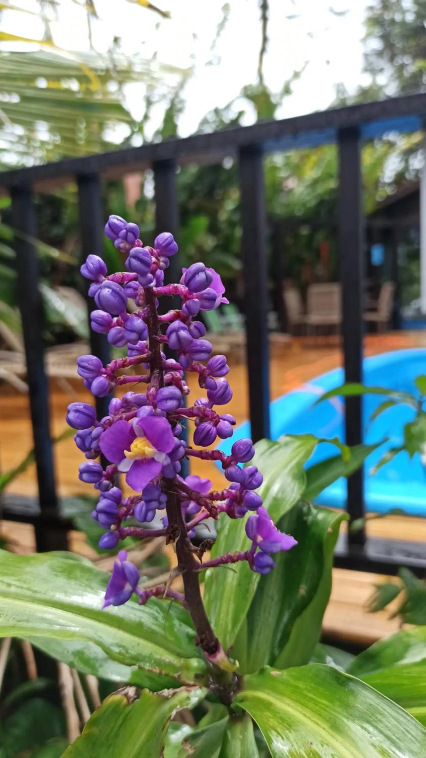 Hotel Natur Campeche