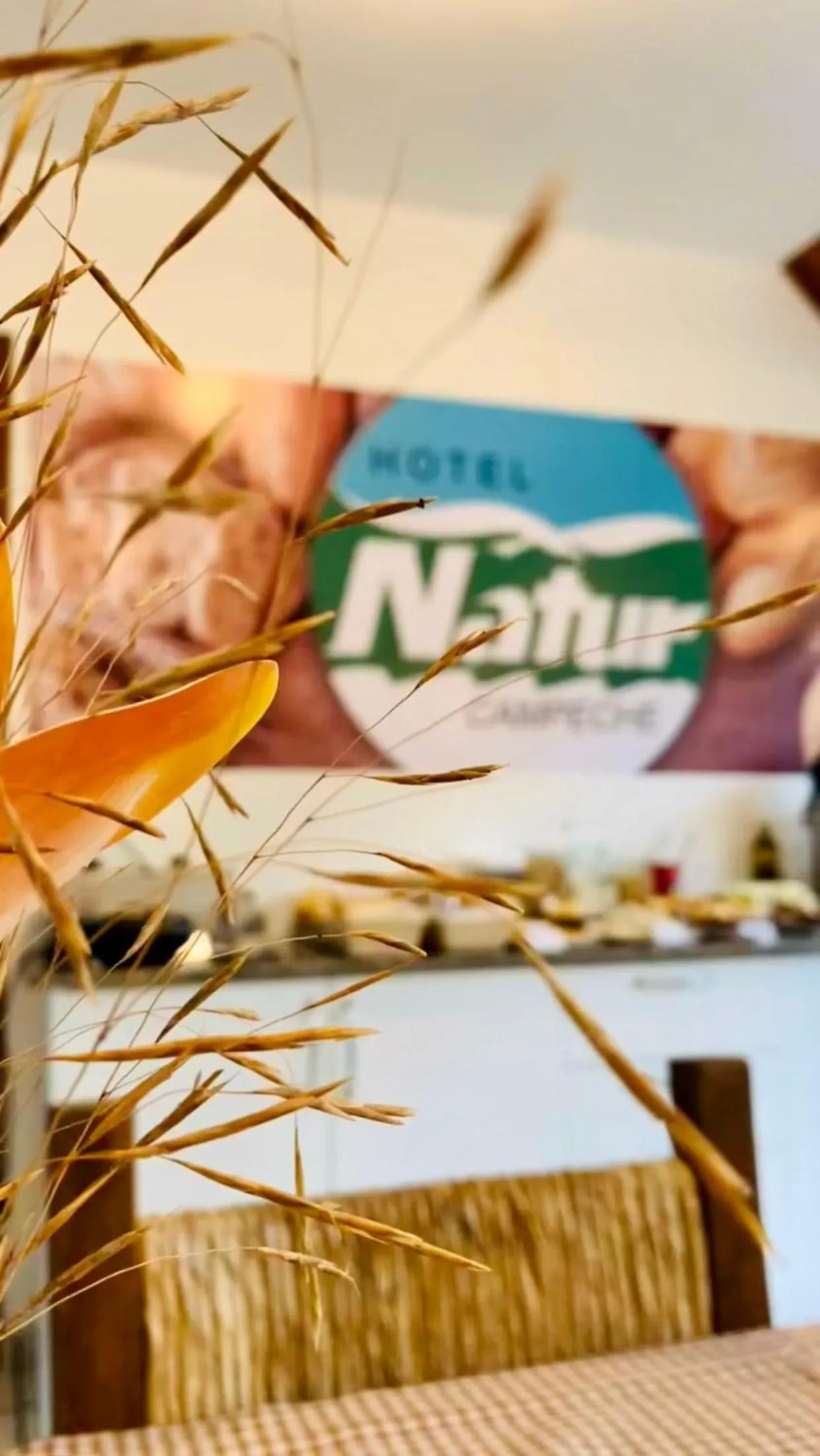 Breakfast in Hotel Natur Campeche