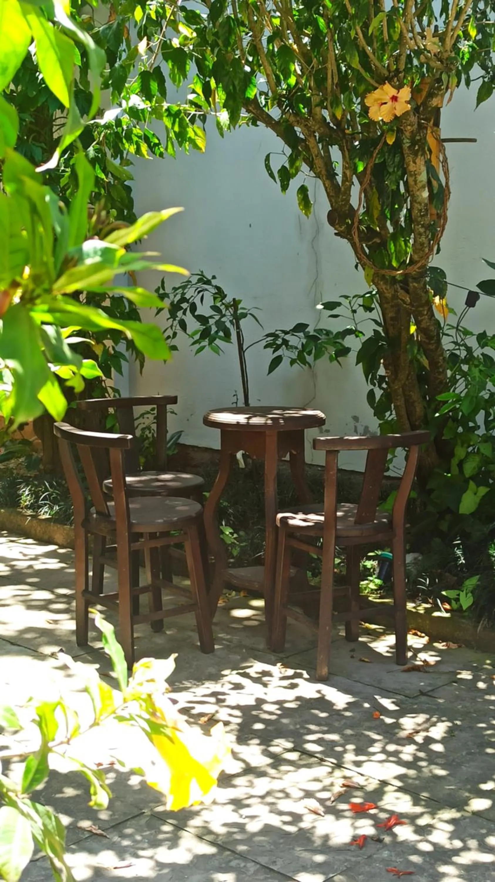 Garden view in Hotel Natur Campeche