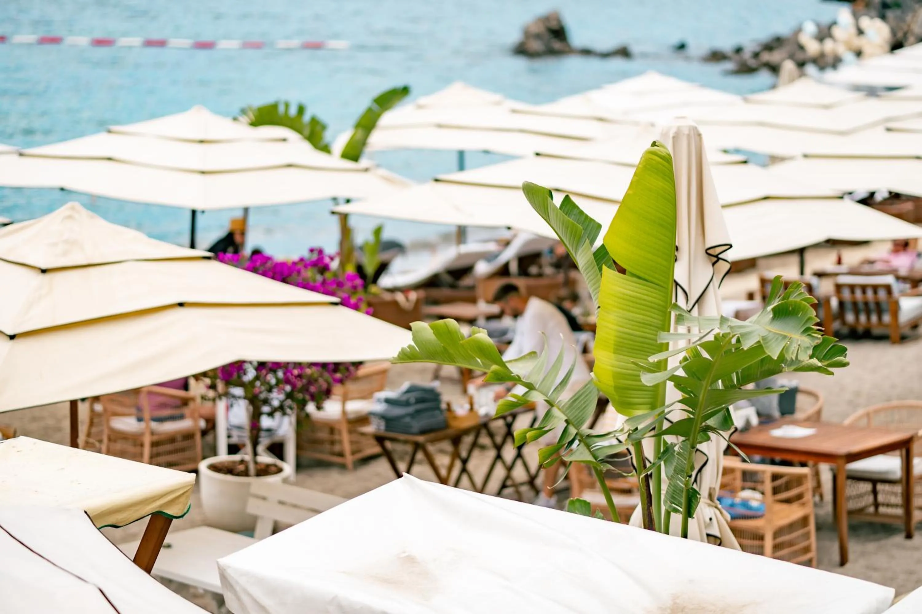 Restaurant/places to eat in Dukley Hotel & Resort