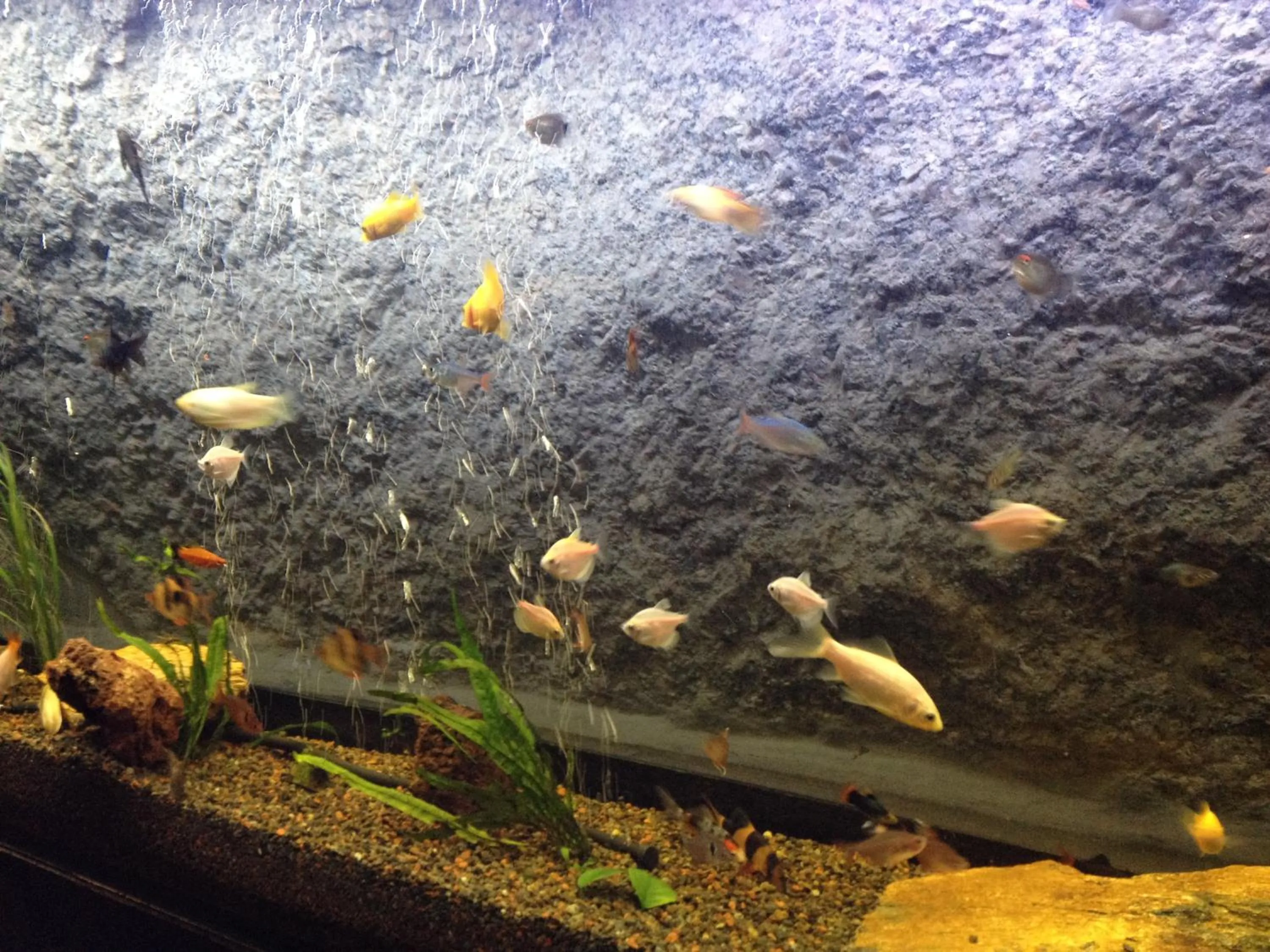 Decorative detail in Casa da Fonte Gerês