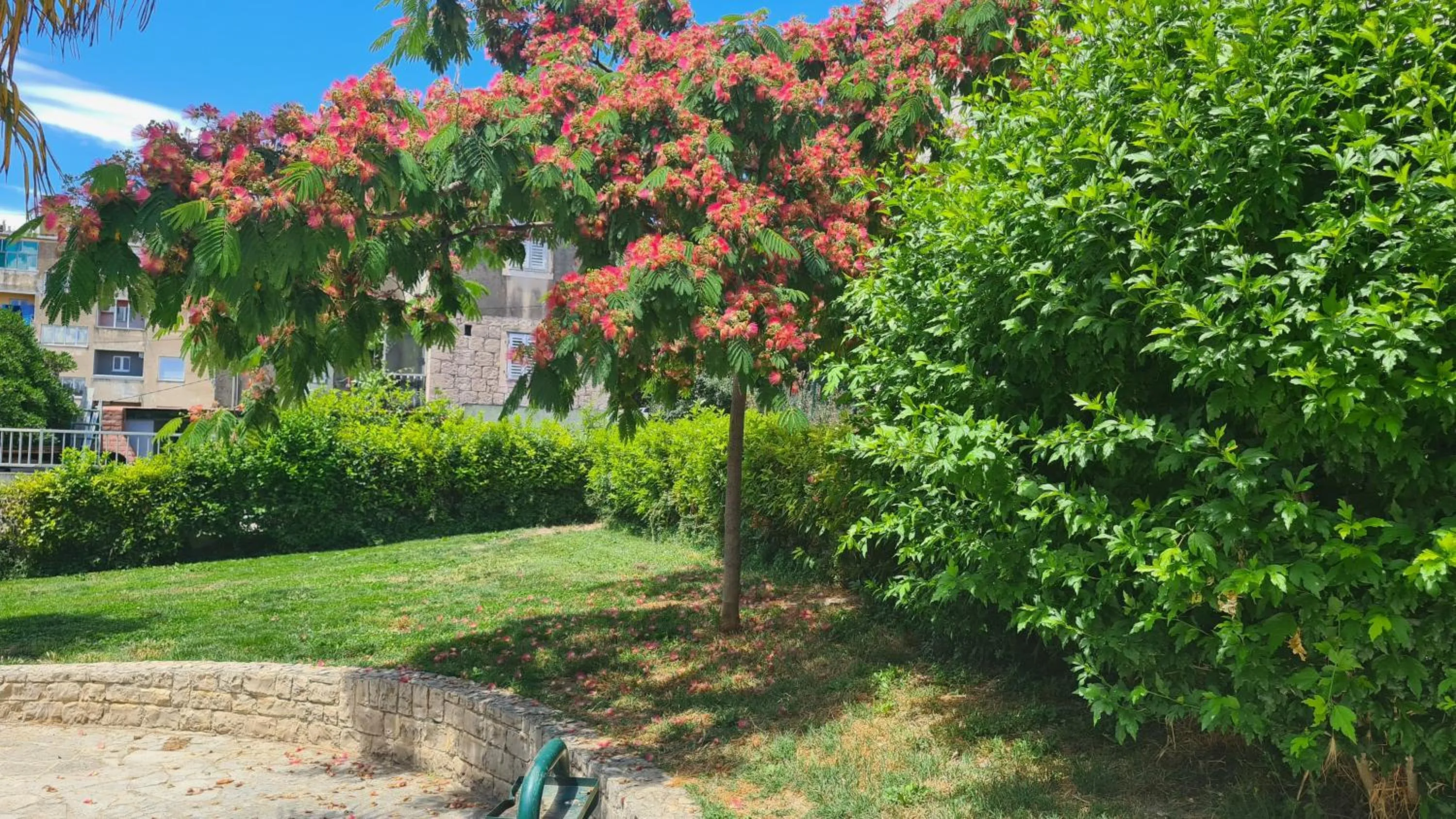 Garden in Nirvana rooms Split