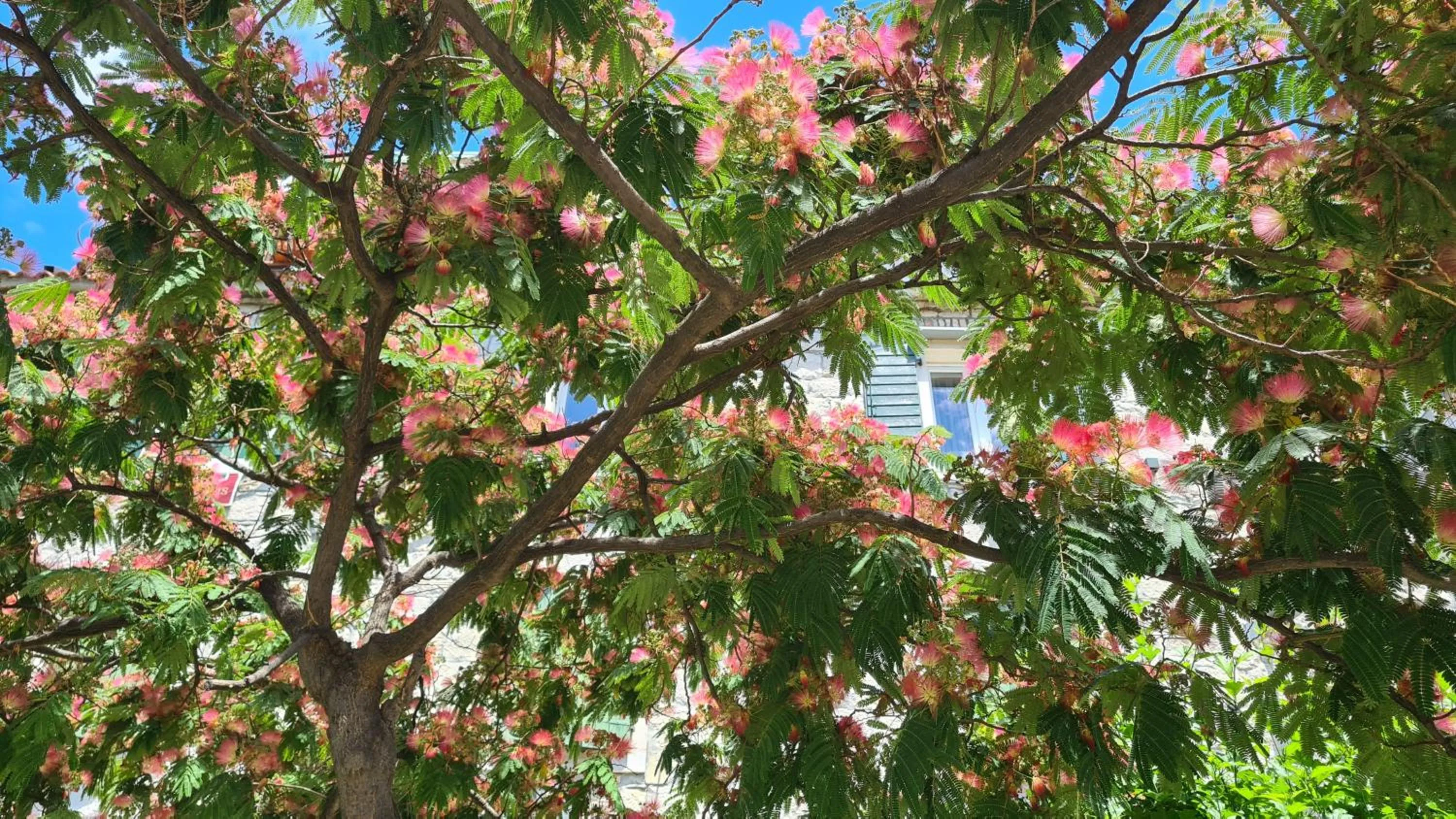 Property building in Nirvana rooms Split