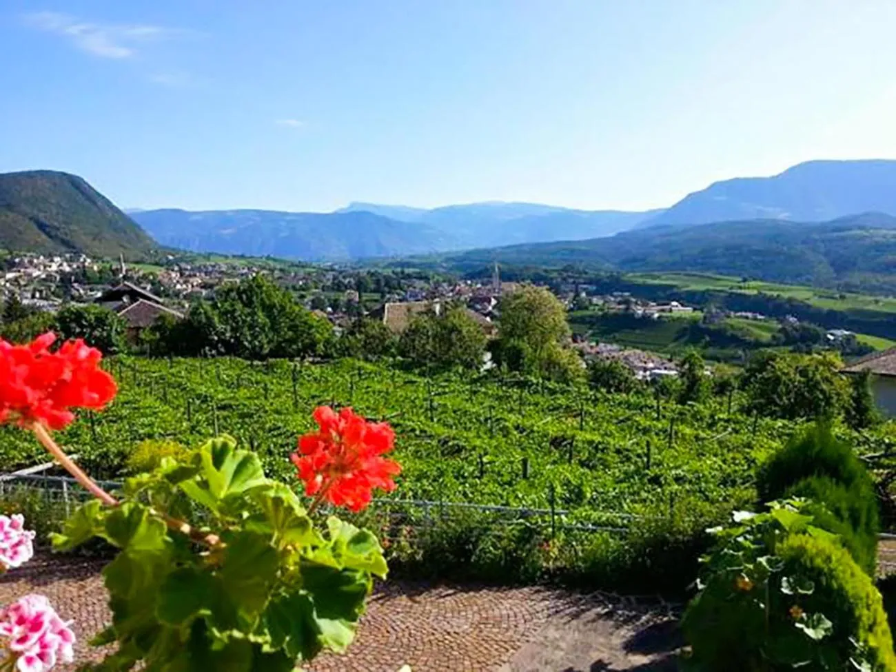 Garden view in Gästehaus Thaler