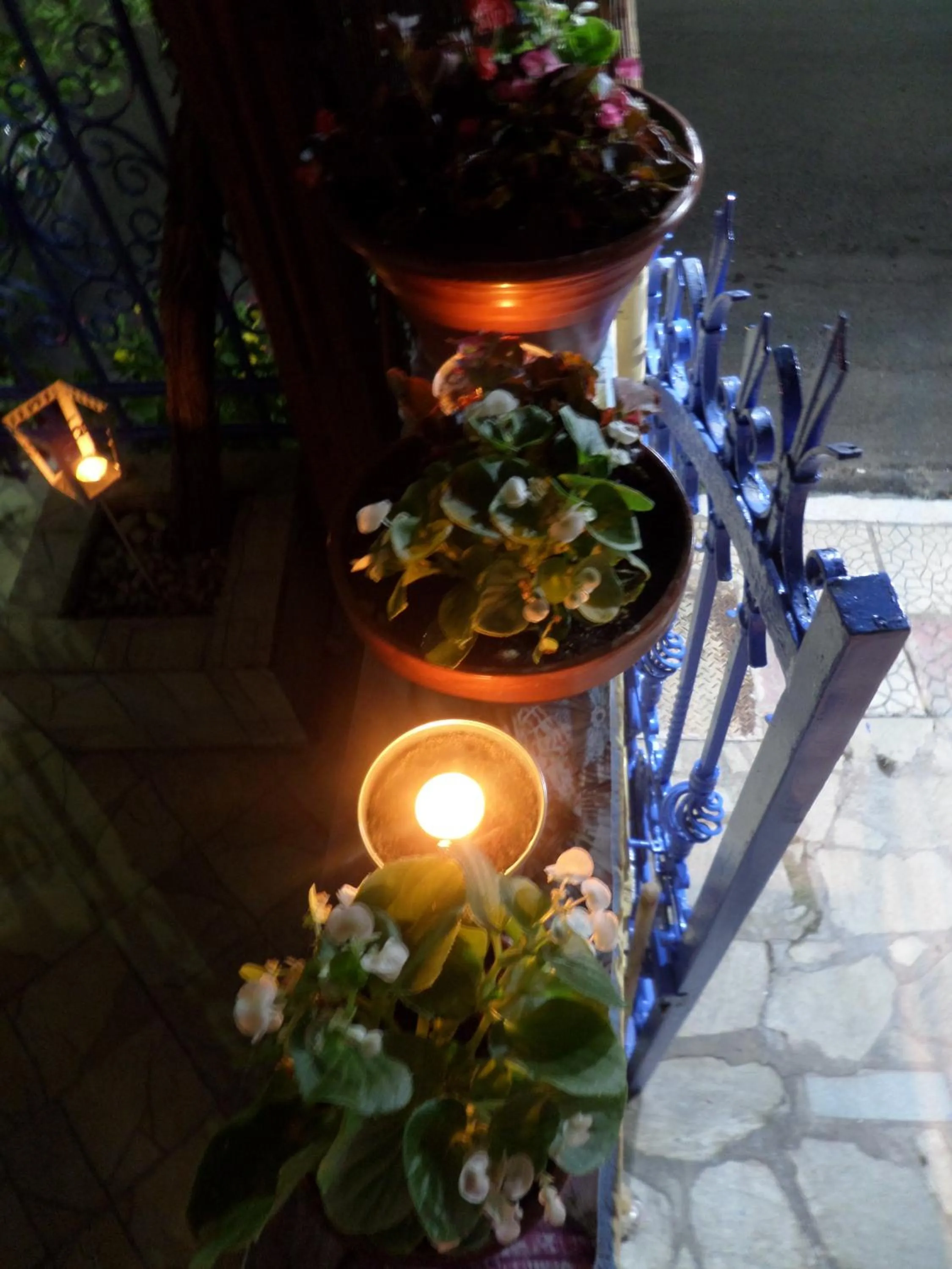 Garden in Artemis Studios & Apartments