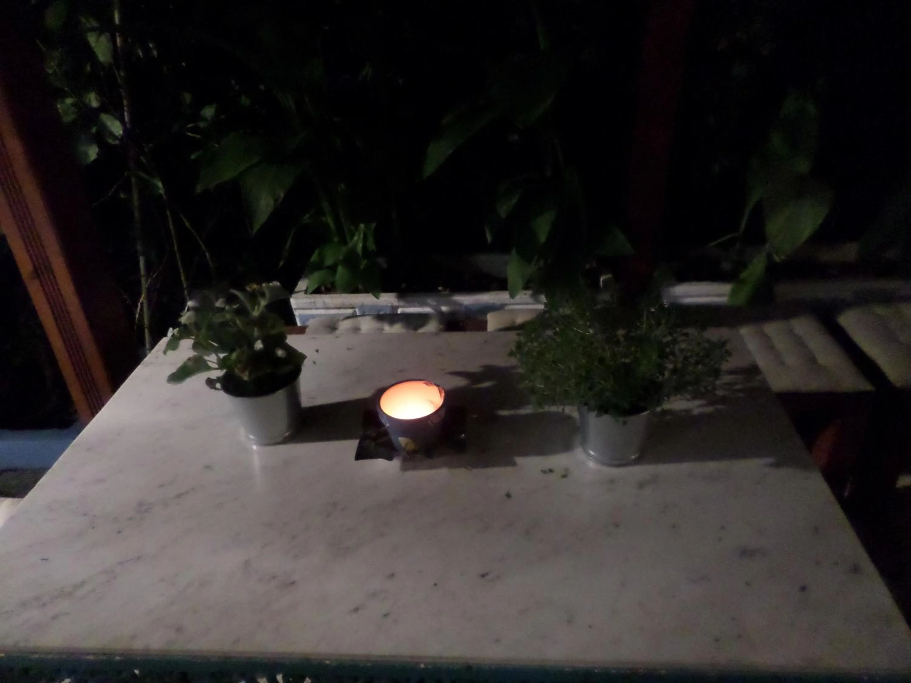 Garden in Artemis Studios & Apartments