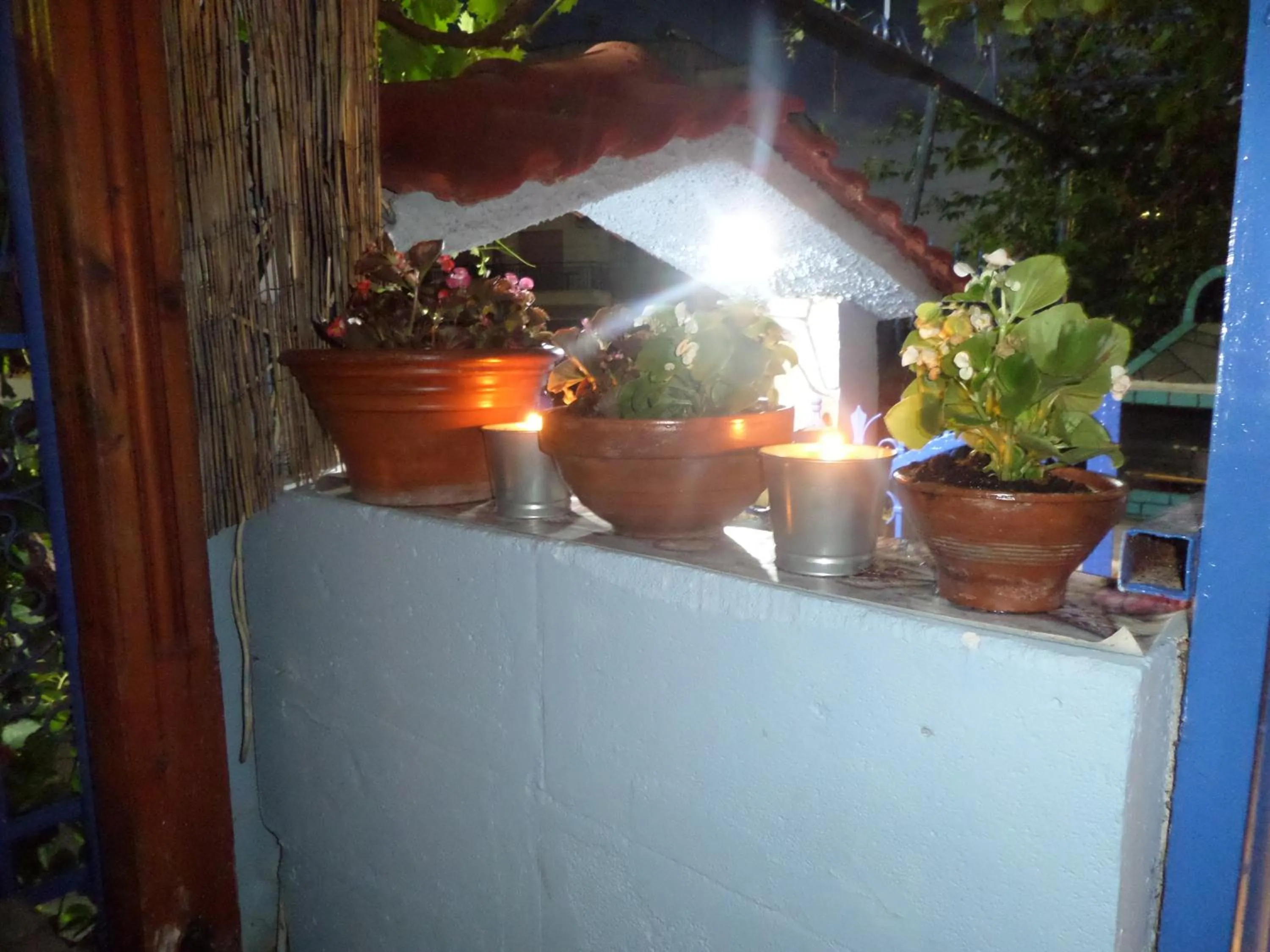 Garden in Artemis Studios & Apartments