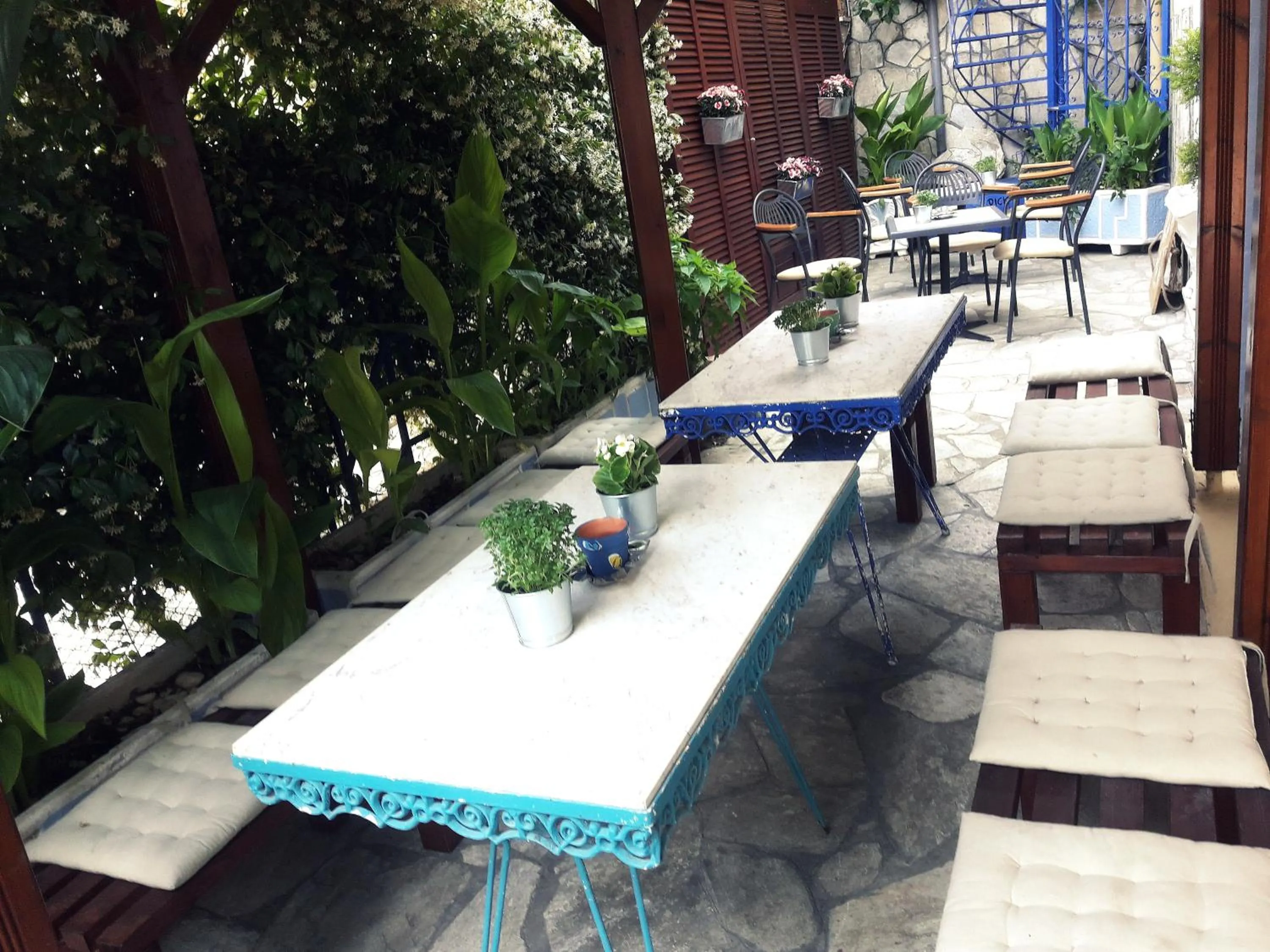 Garden in Artemis Studios & Apartments