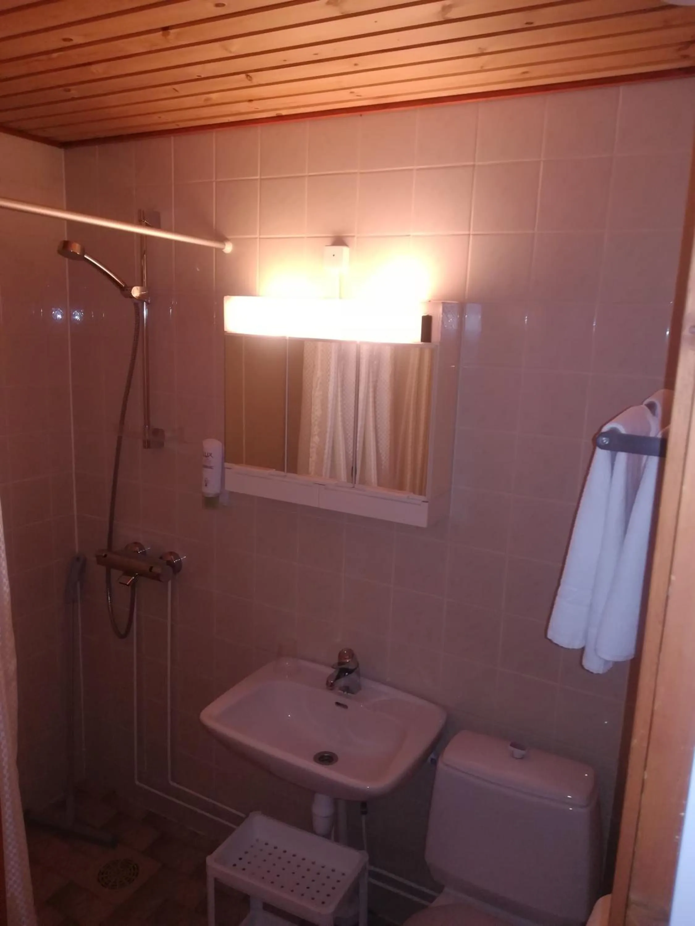 Shower in Hotelli Pogostan Hovi