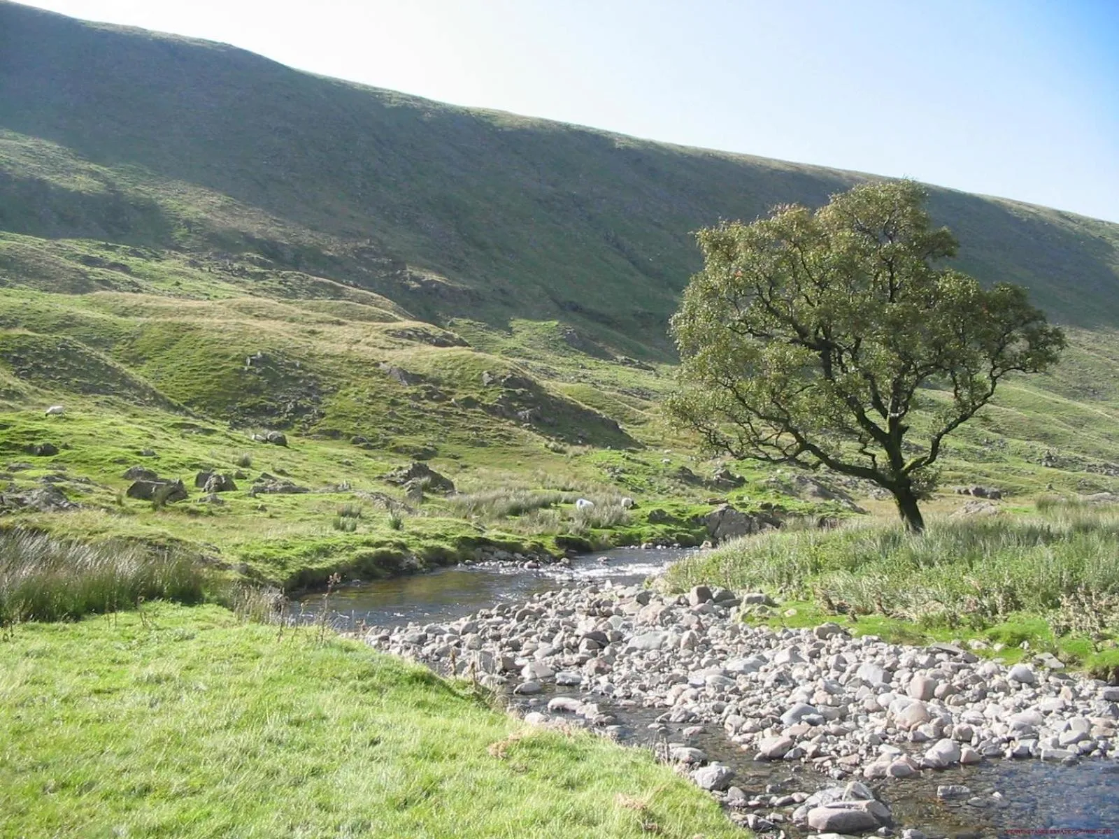 Natural landscape in Hearthstanes Steading
