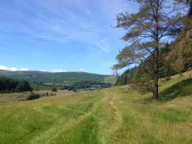 Natural landscape in Hearthstanes Steading