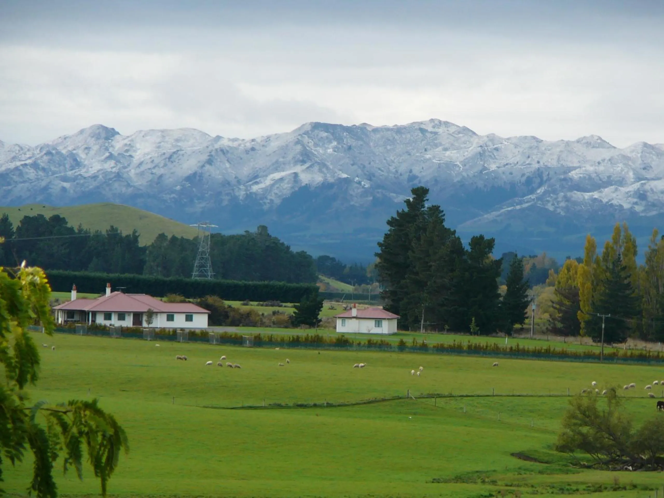 Pahau Downs