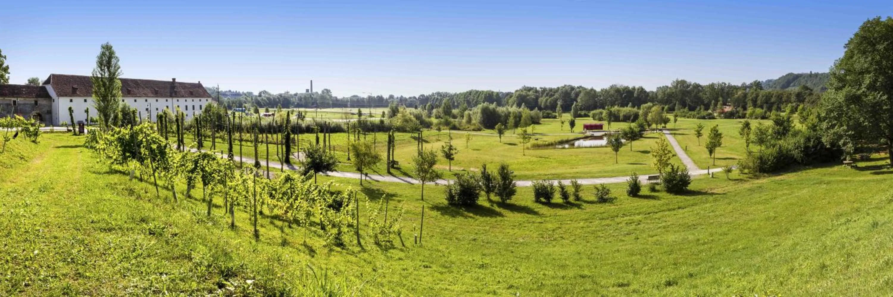 View (from property/room) in Hotel Staribacher Südsteiermark