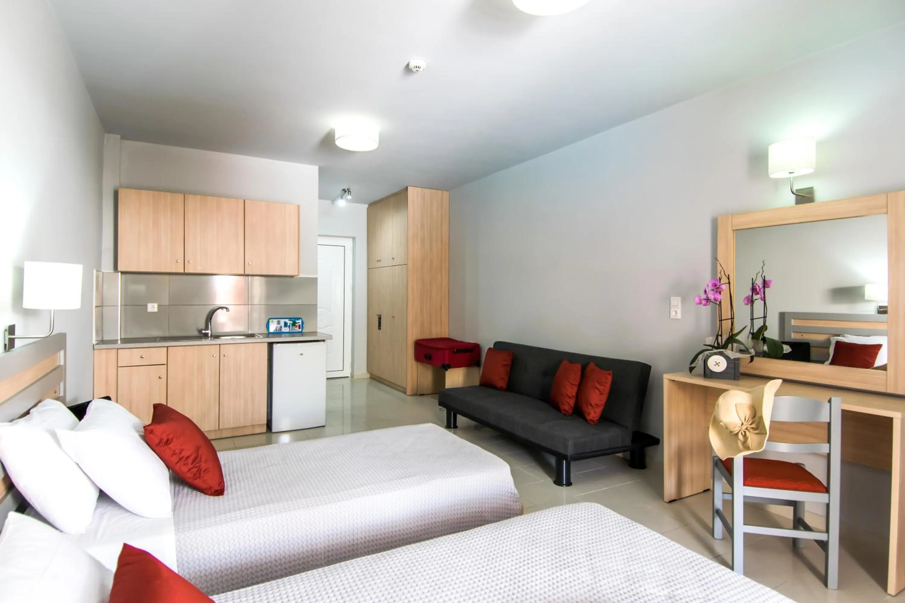 Kitchen or kitchenette in Hera Zakynthos Hotel