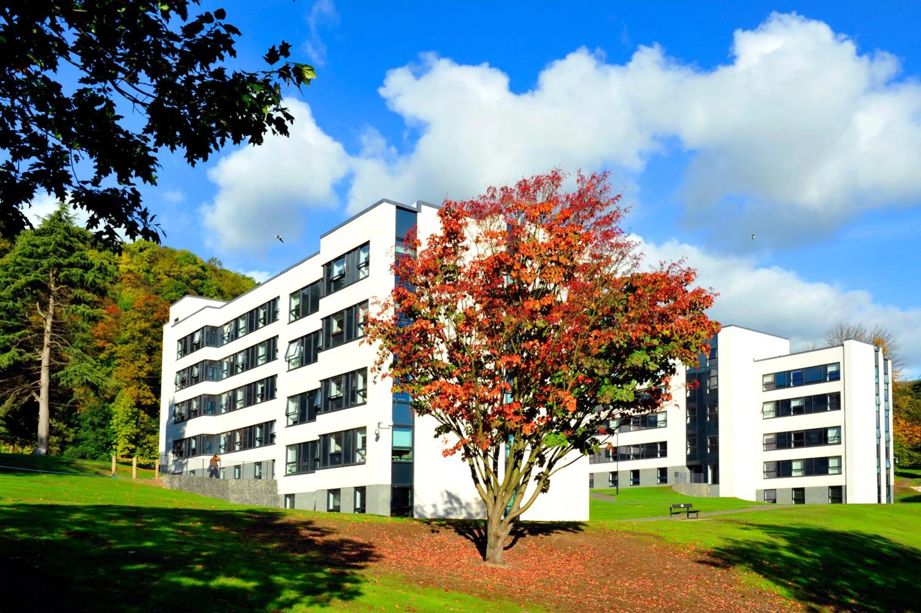 Juniper Court